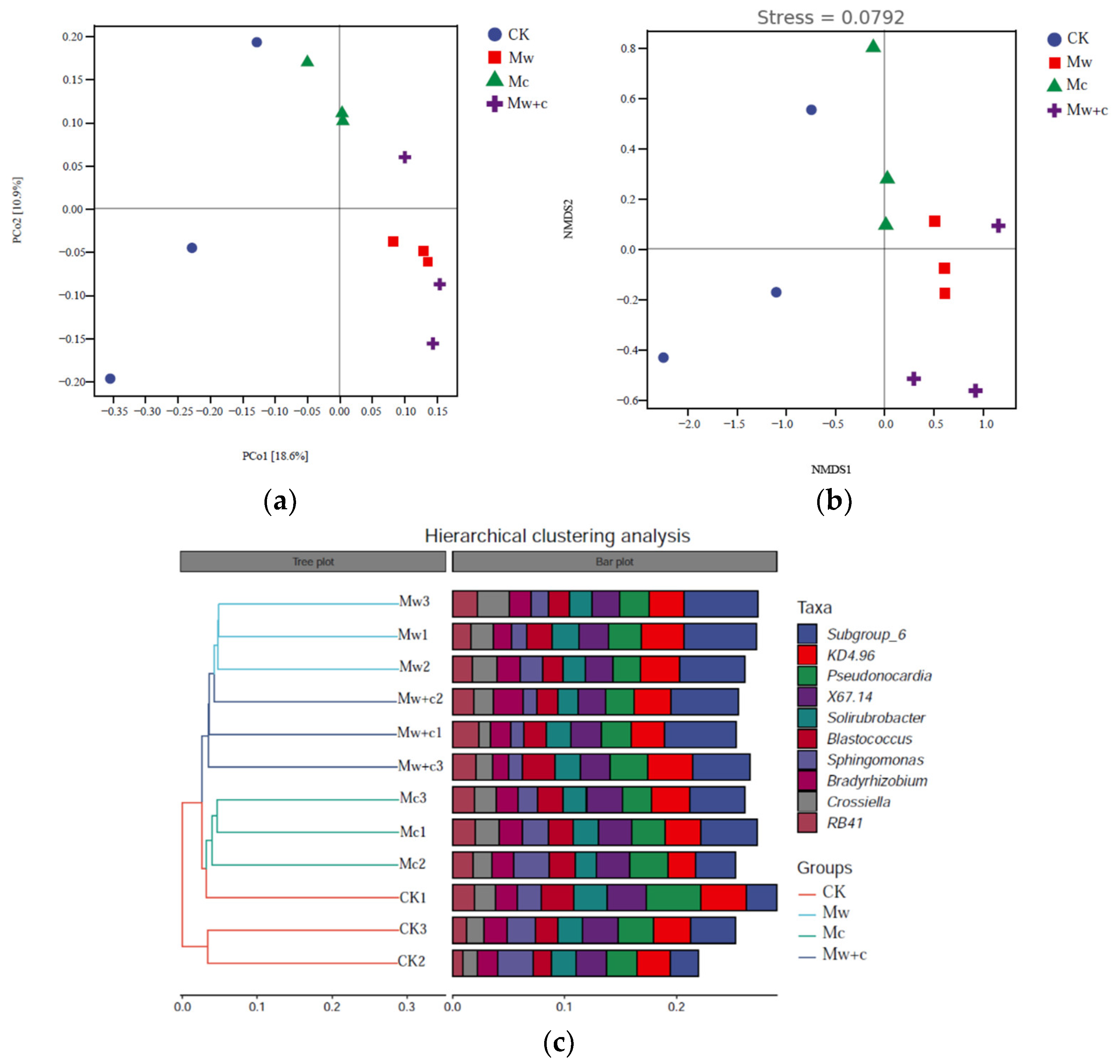 Microorganisms 12 00520 g004