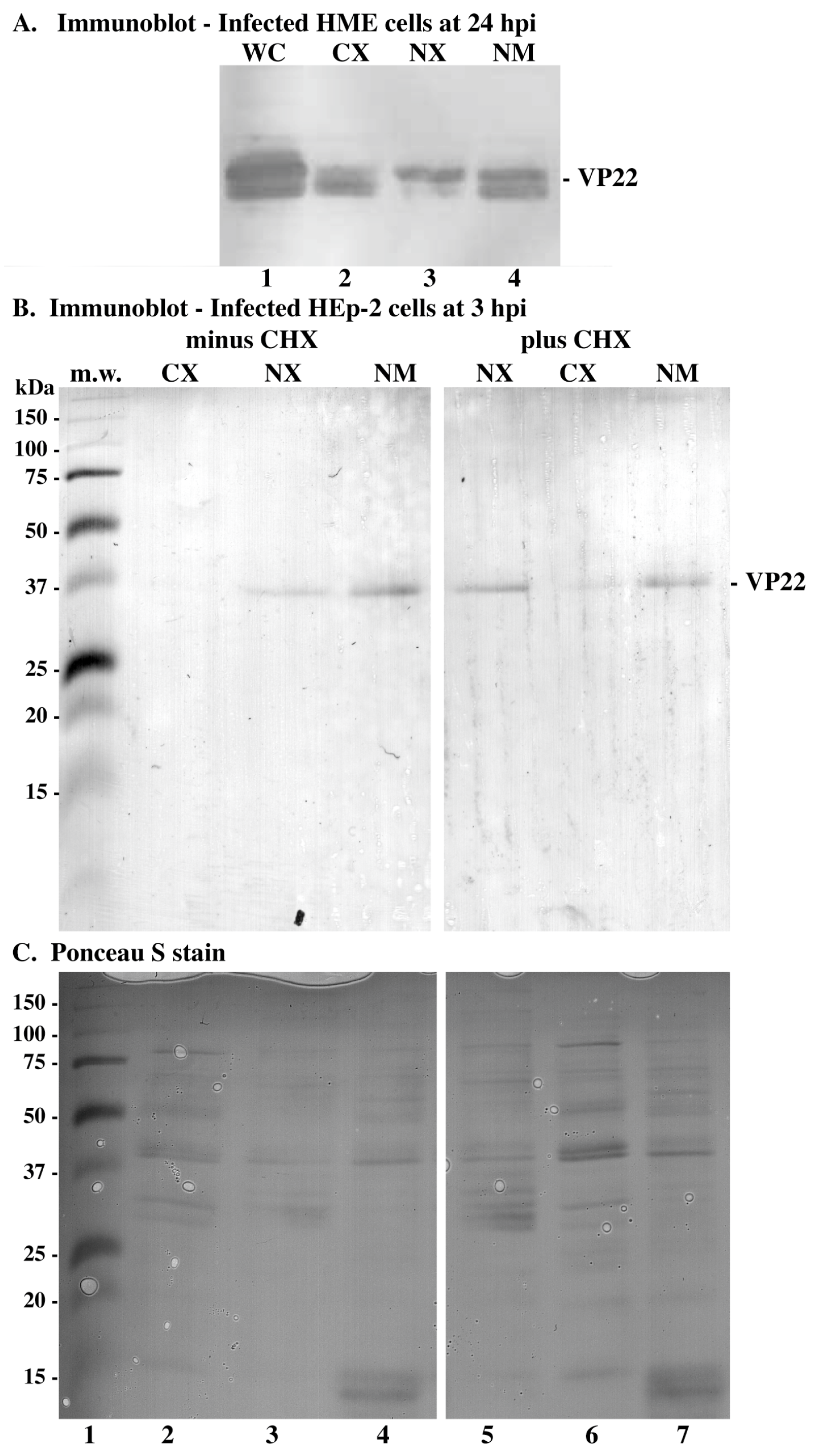 Microorganisms 12 00521 g003