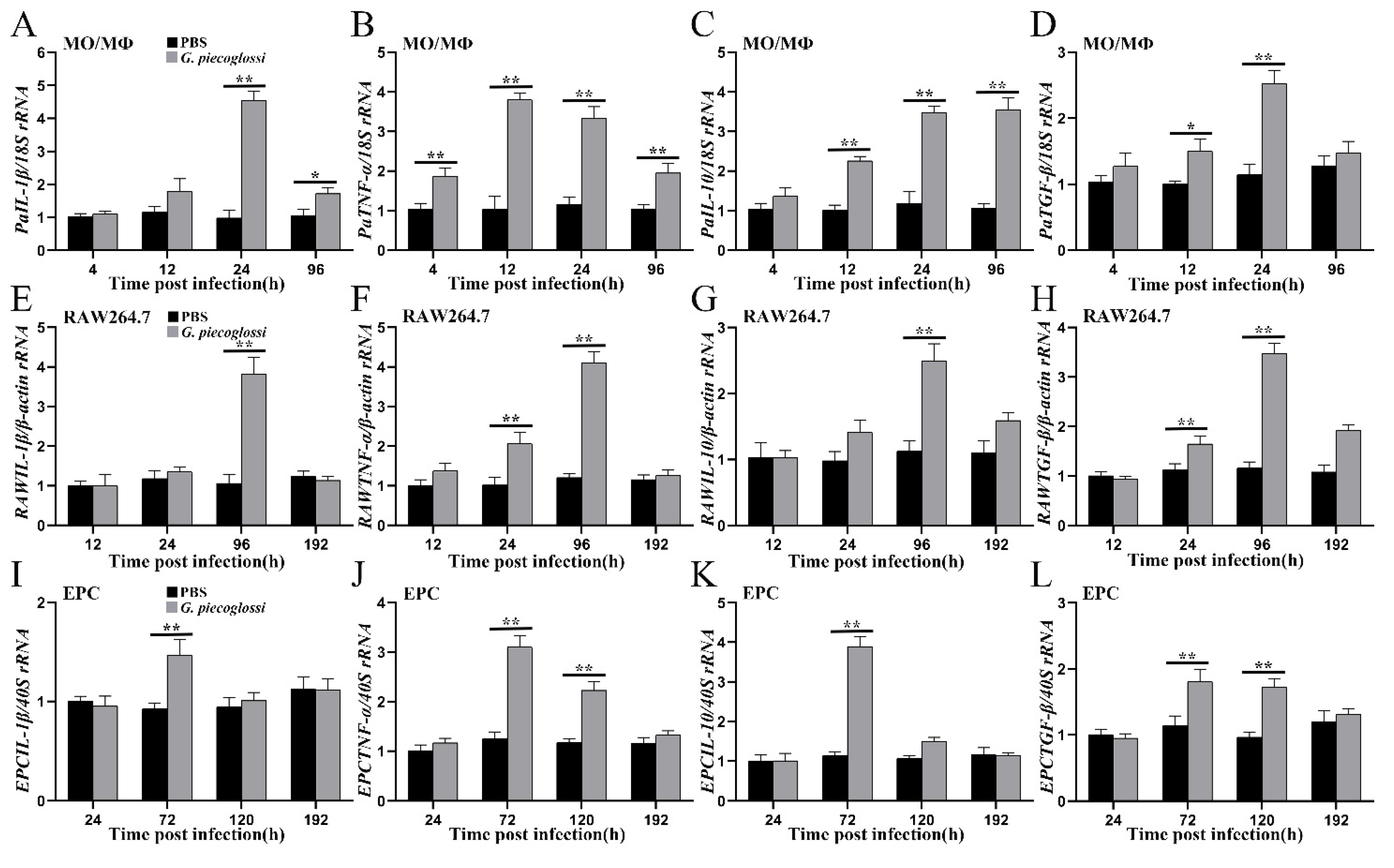 Microorganisms 12 00522 g008