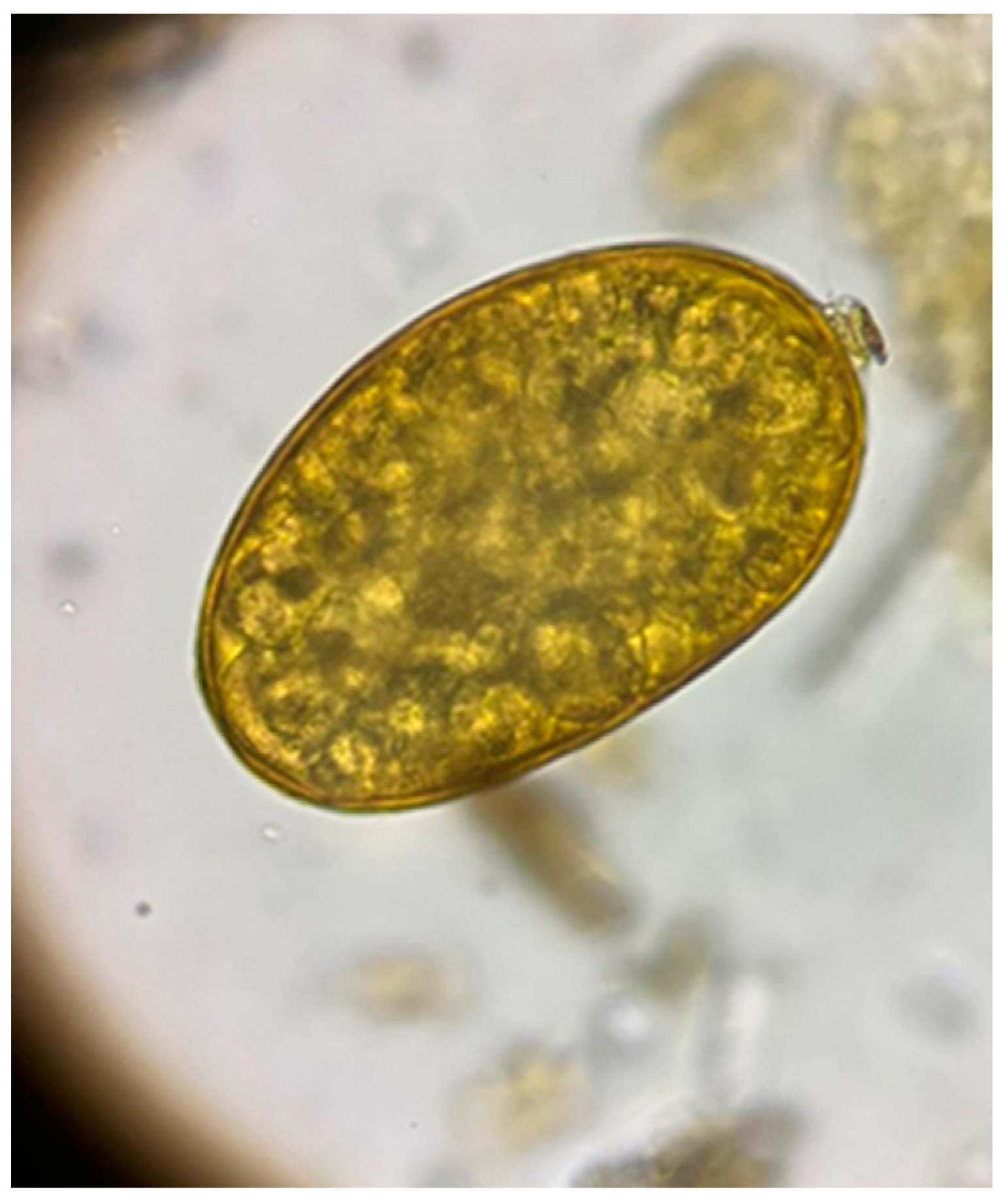 Microorganisms 12 00527 g002 Microorganisms 12 00527 g002