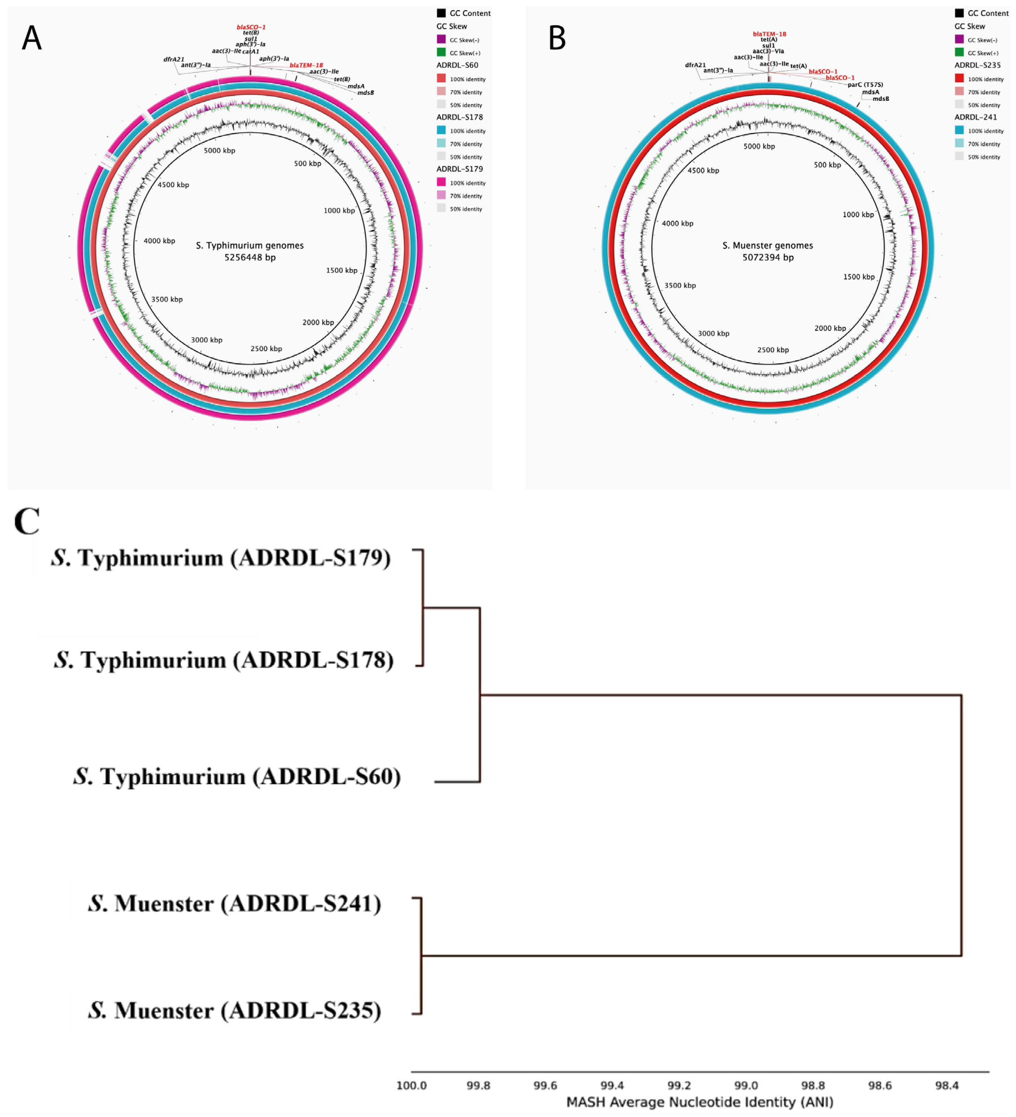 Microorganisms 12 00528 g005