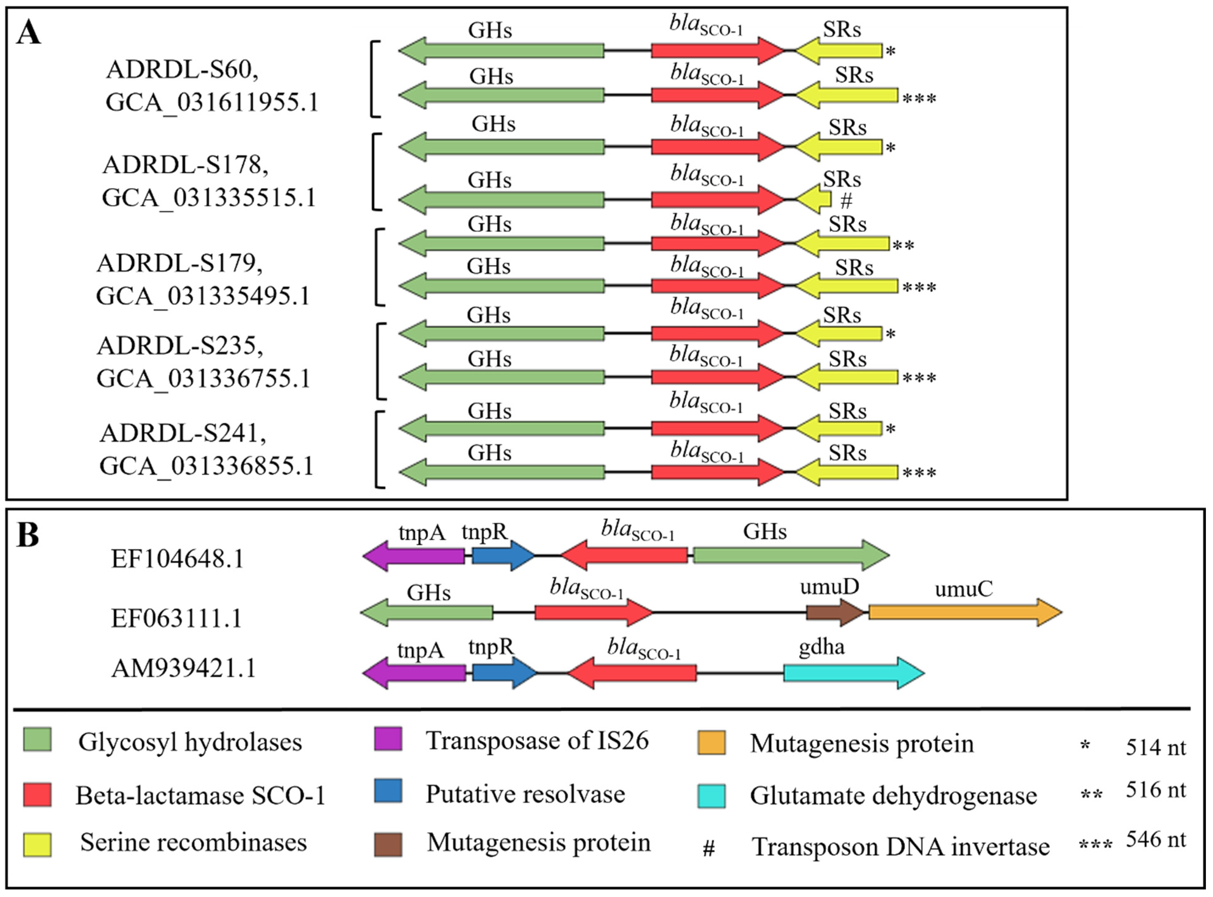 Microorganisms 12 00528 g006