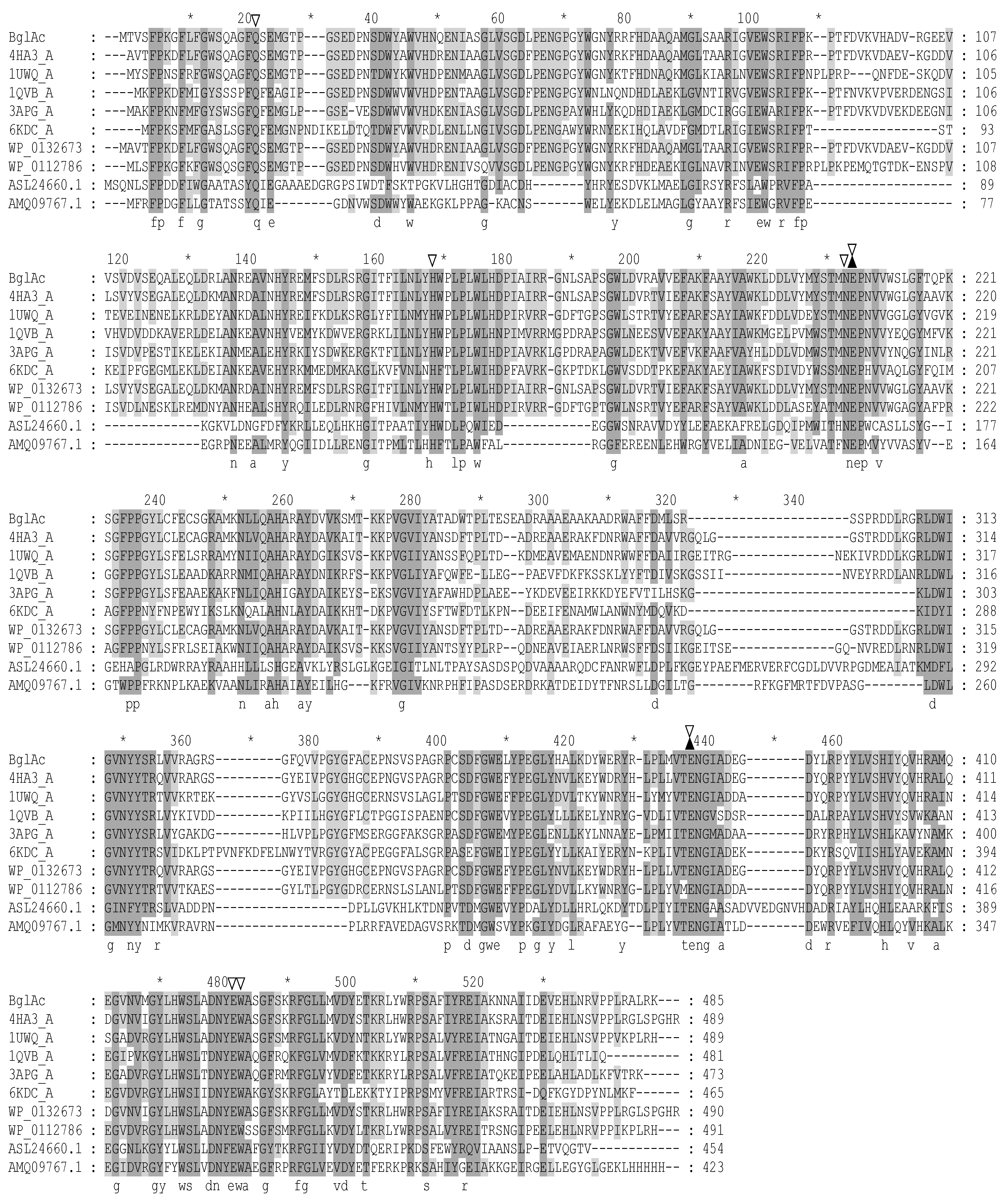 Microorganisms 12 00533 g001