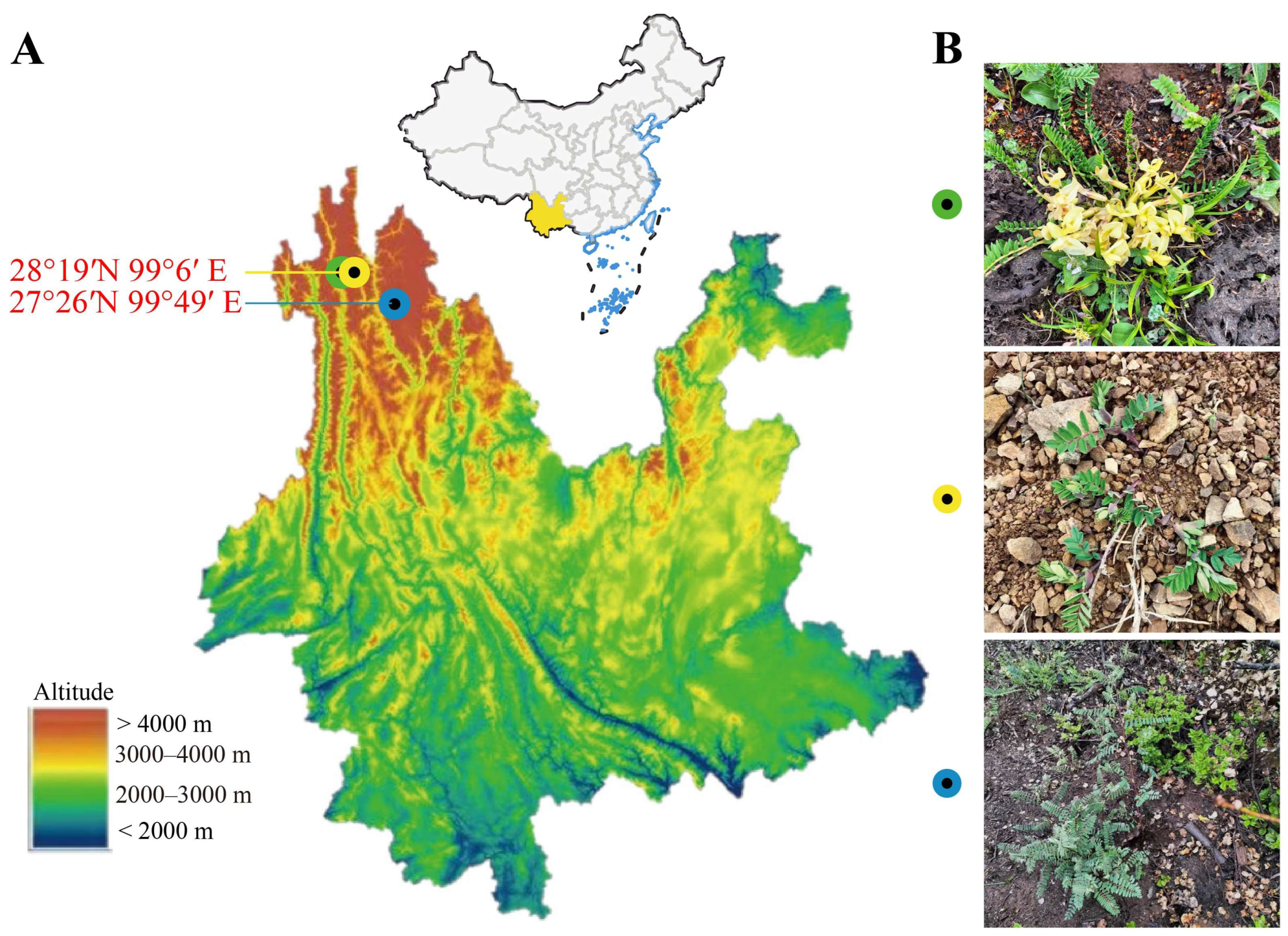 Microorganisms 12 00539 g001
