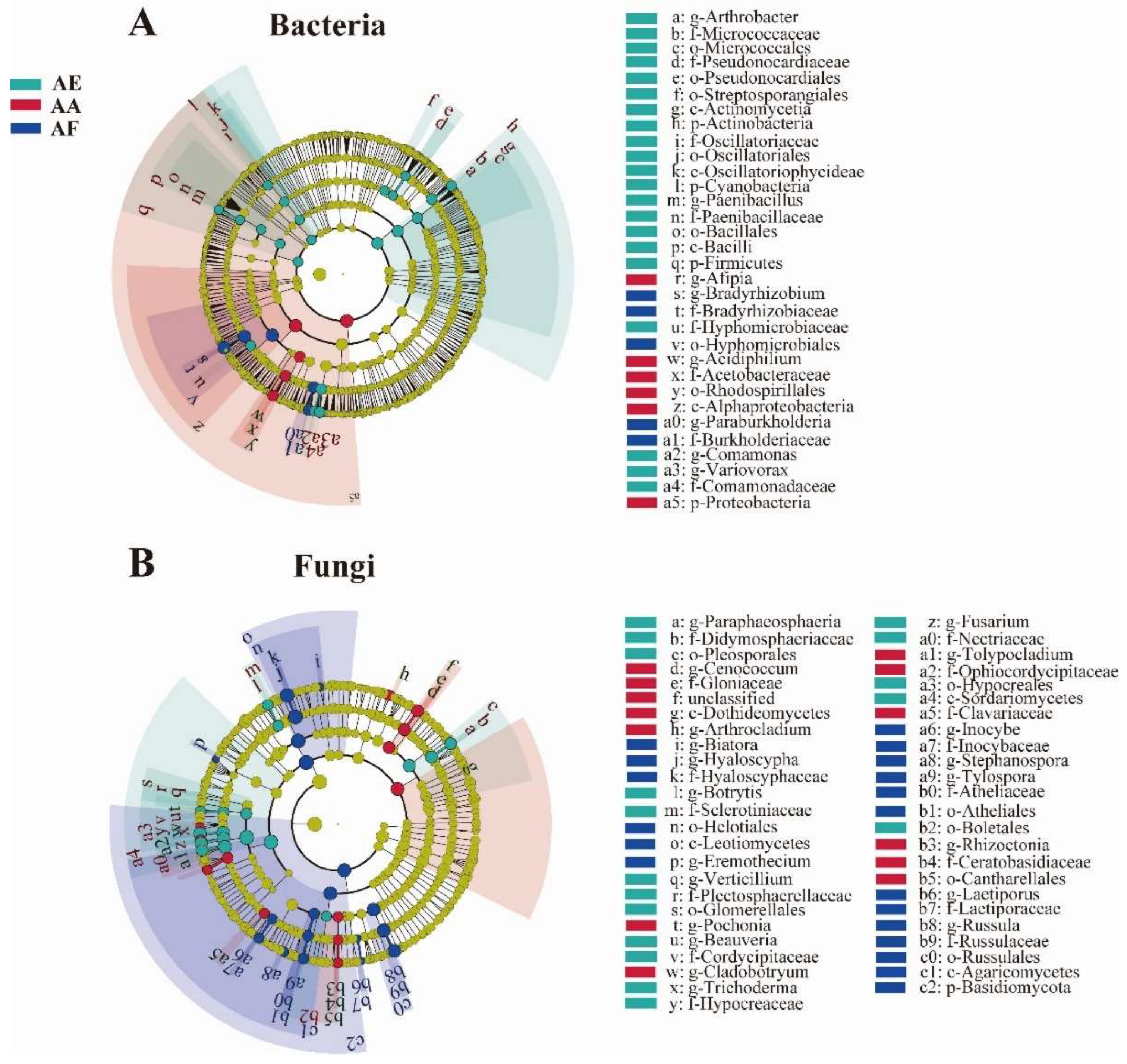 Microorganisms 12 00539 g005
