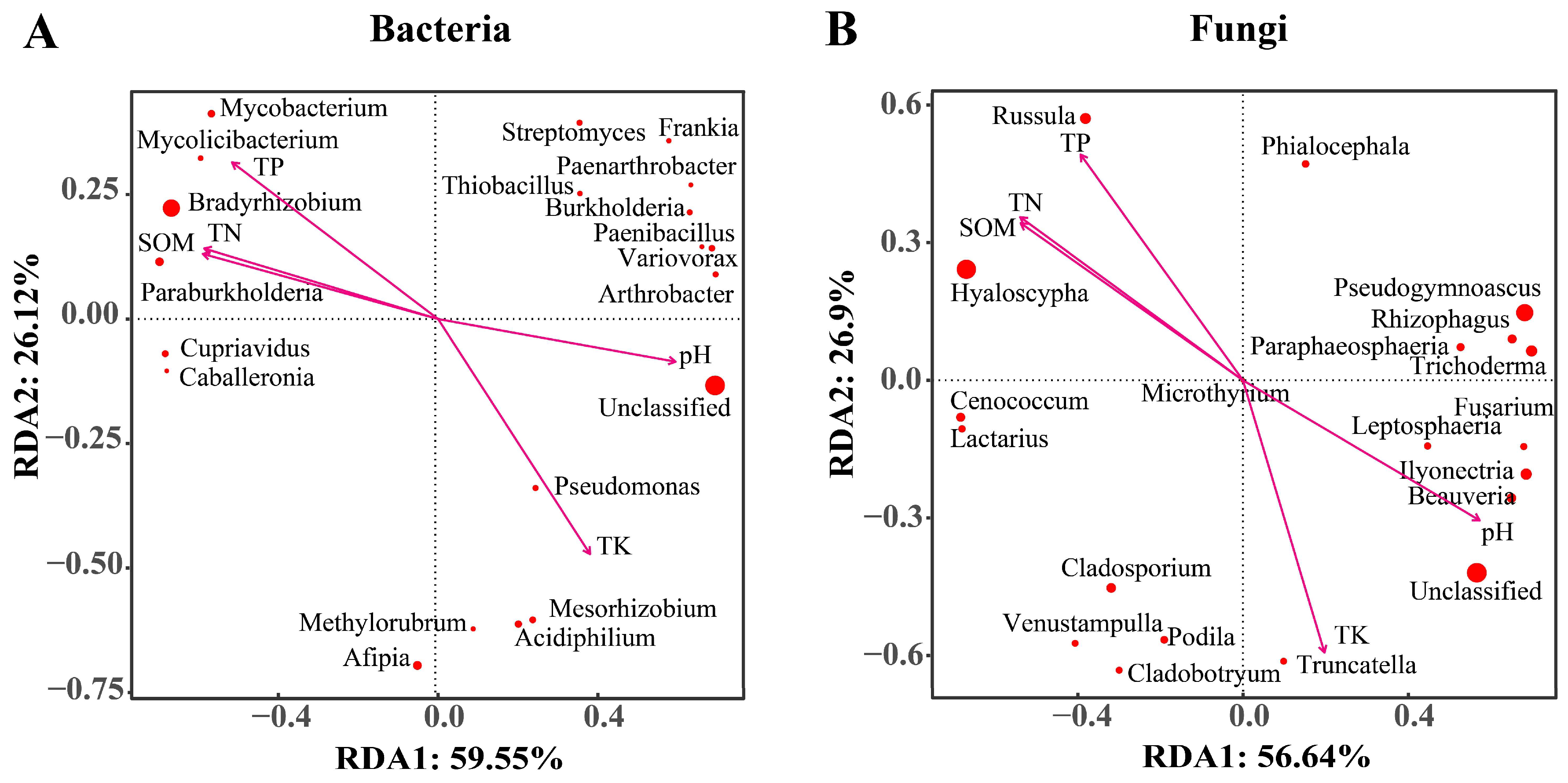 Microorganisms 12 00539 g006