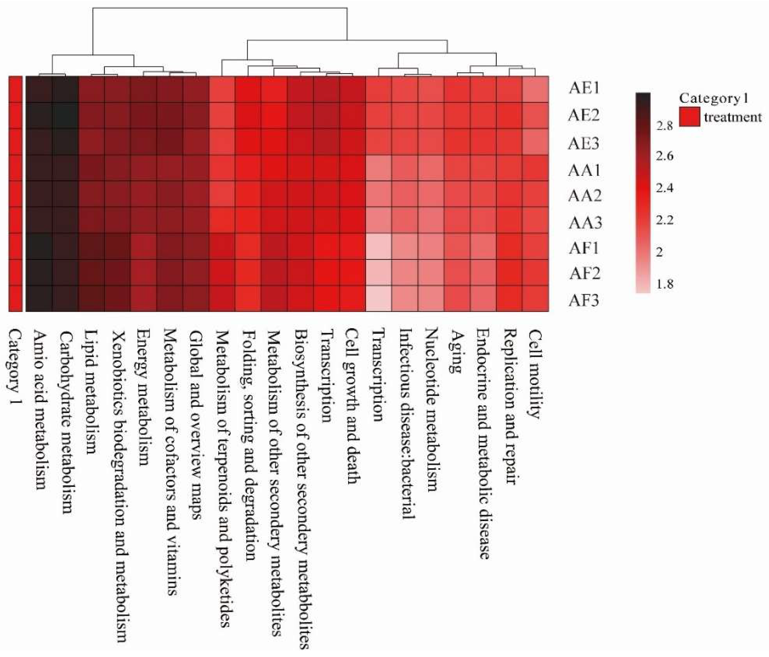 Microorganisms 12 00539 g007