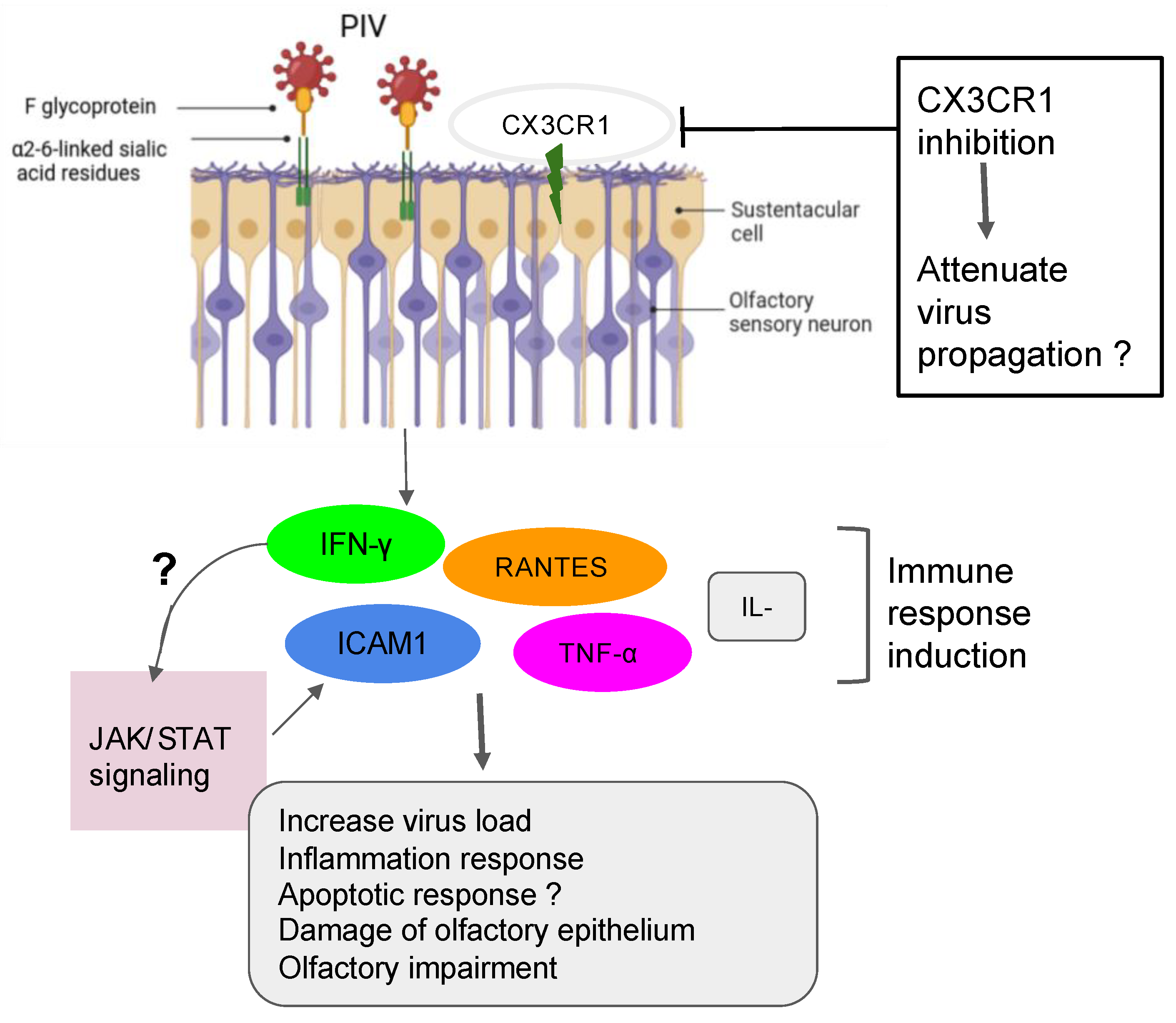 Microorganisms 12 00540 g001