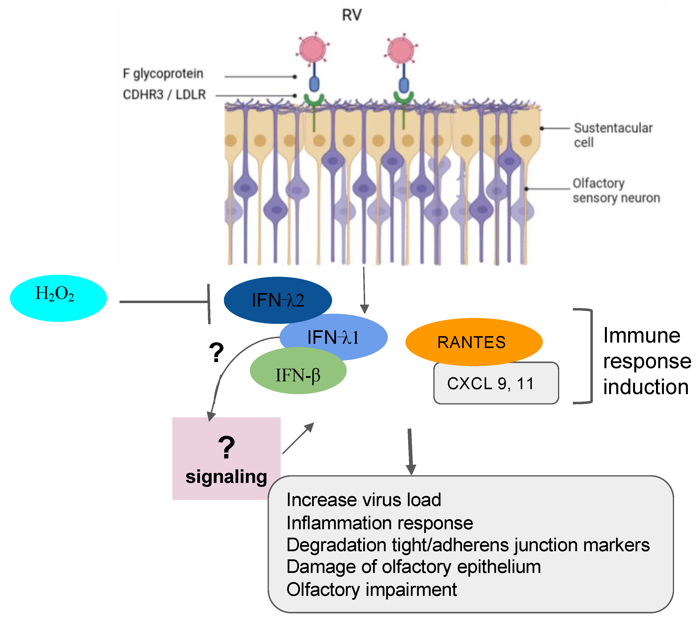 Microorganisms 12 00540 g003