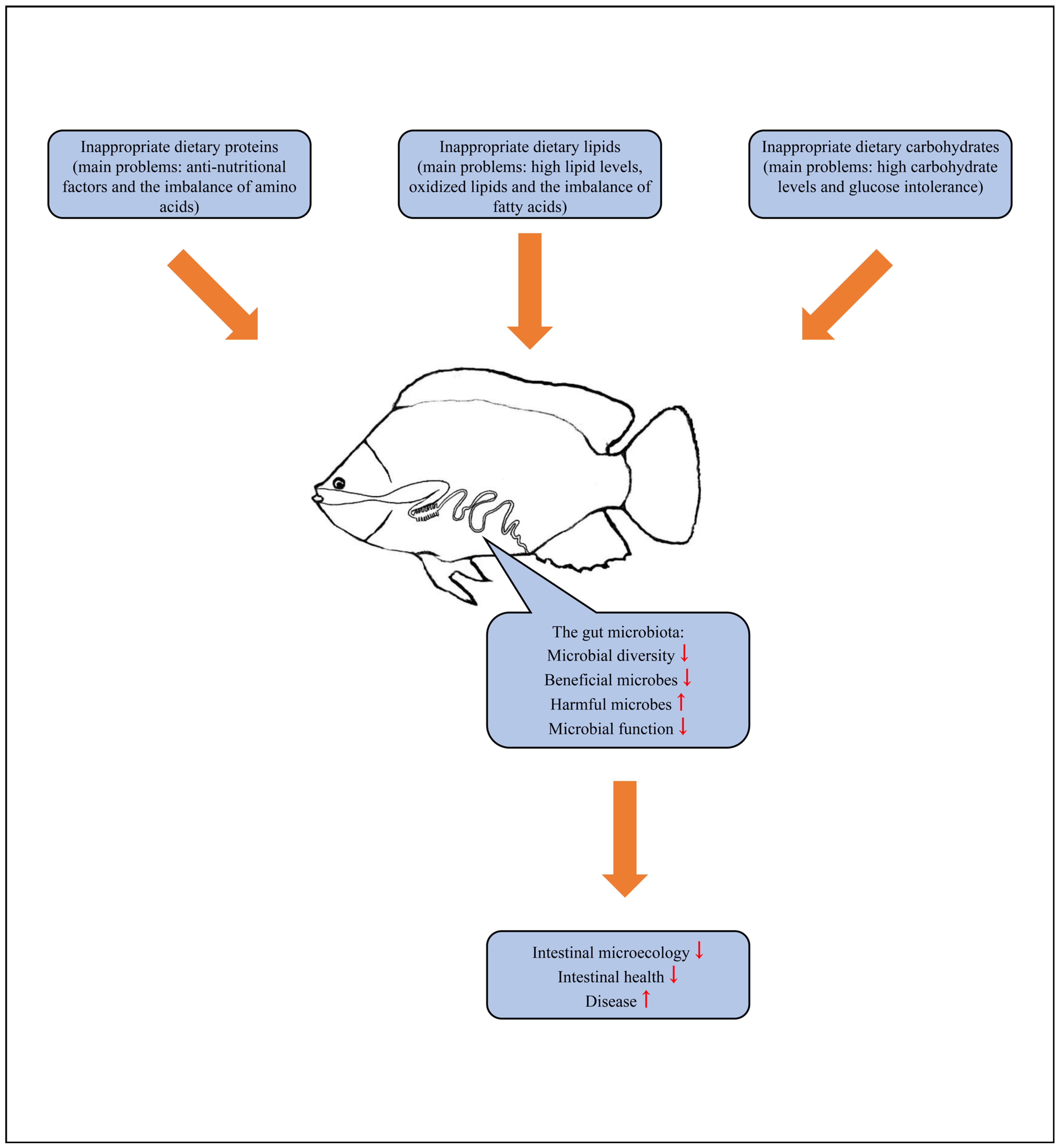 Microorganisms 12 00543 g001