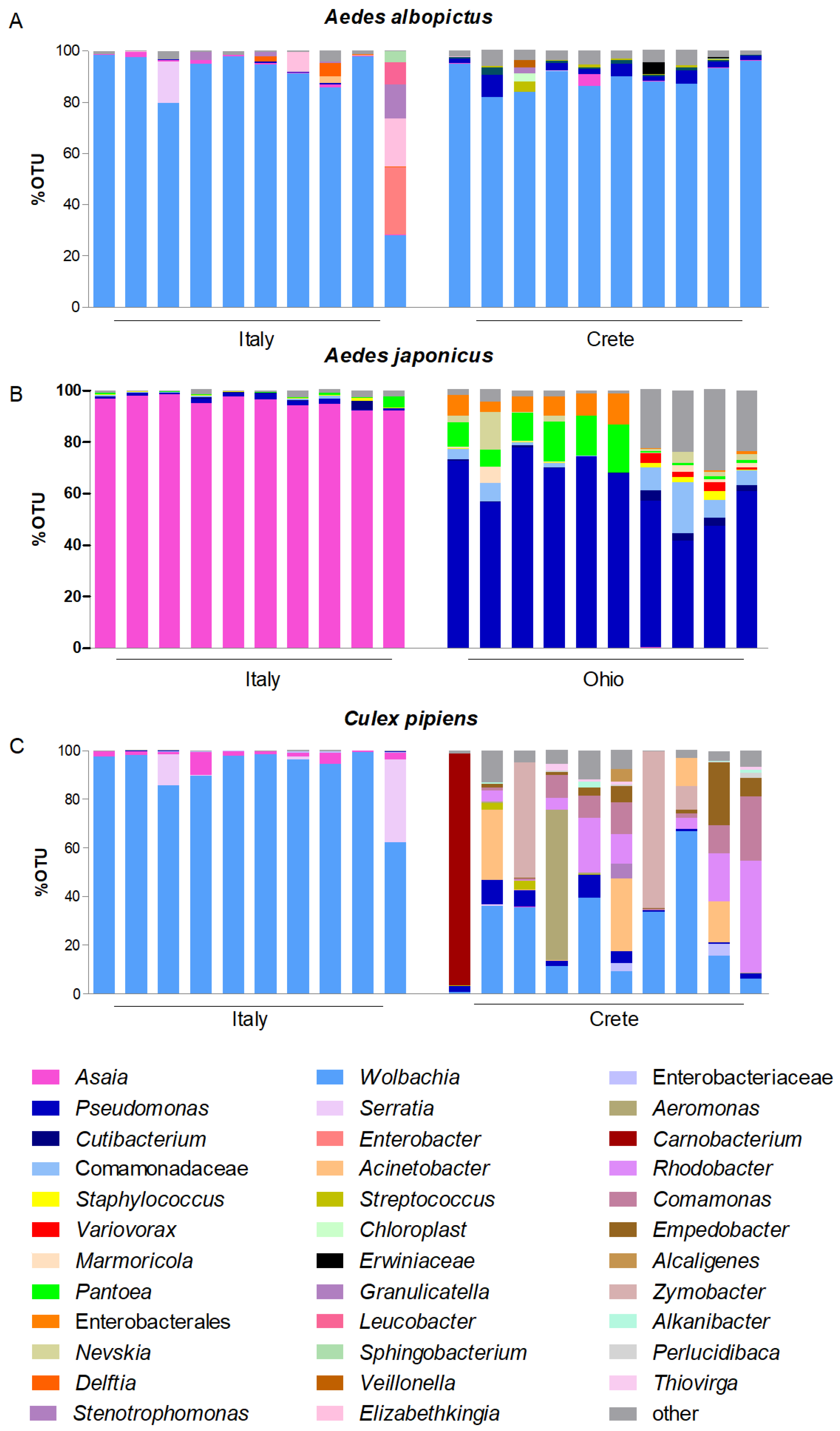 Microorganisms 12 00545 g001