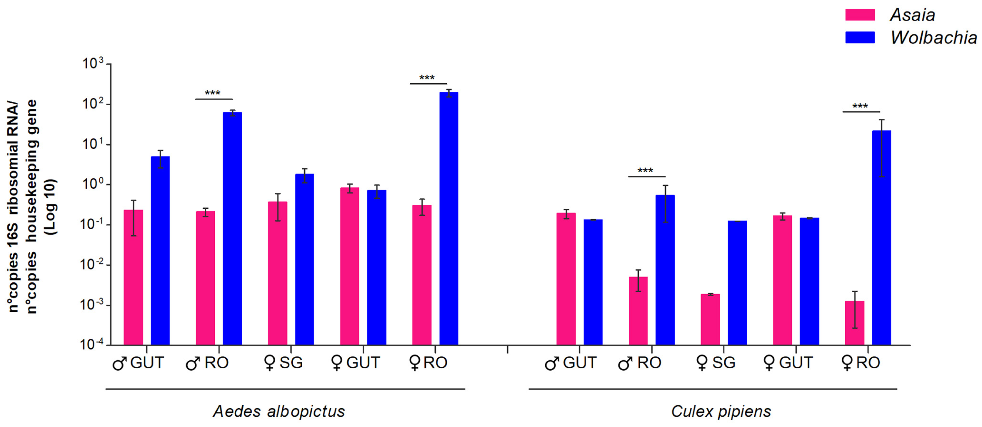 Microorganisms 12 00545 g002