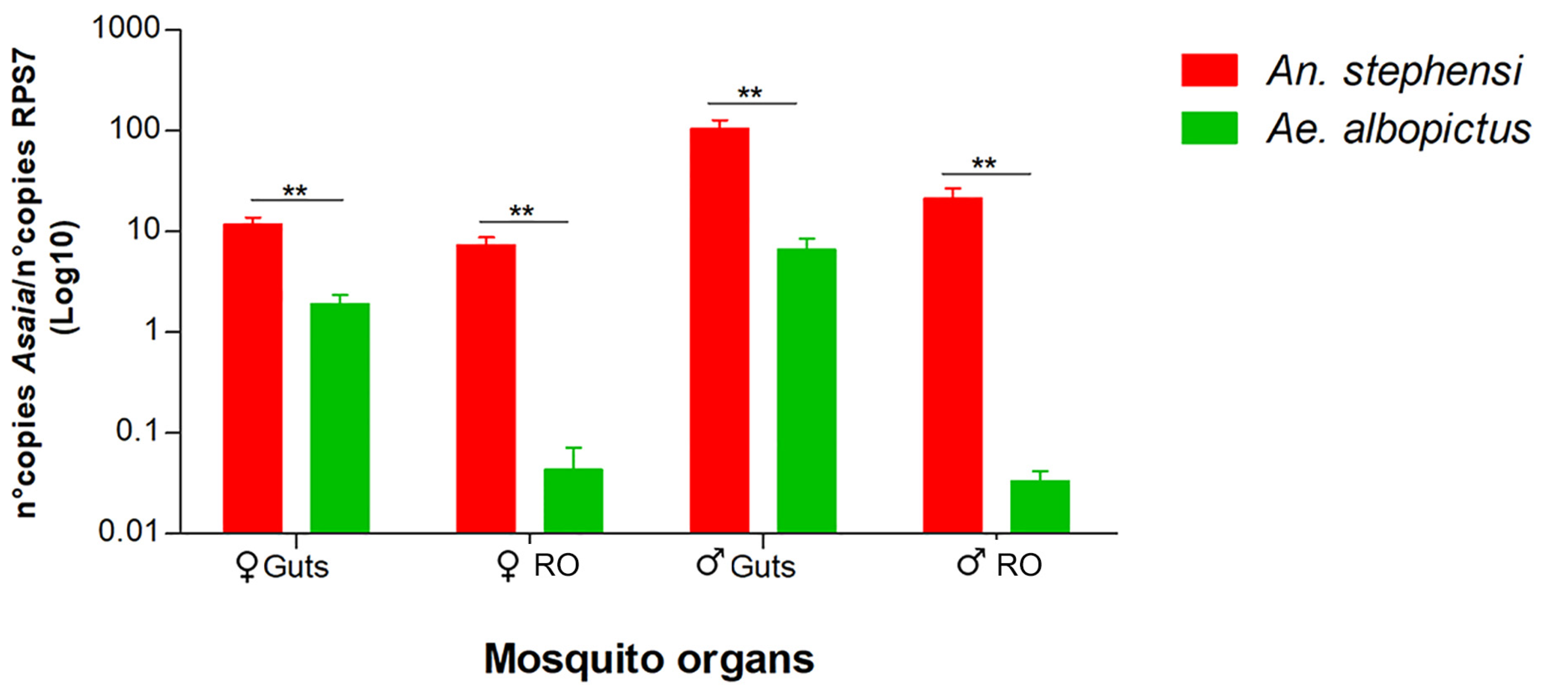 Microorganisms 12 00545 g003