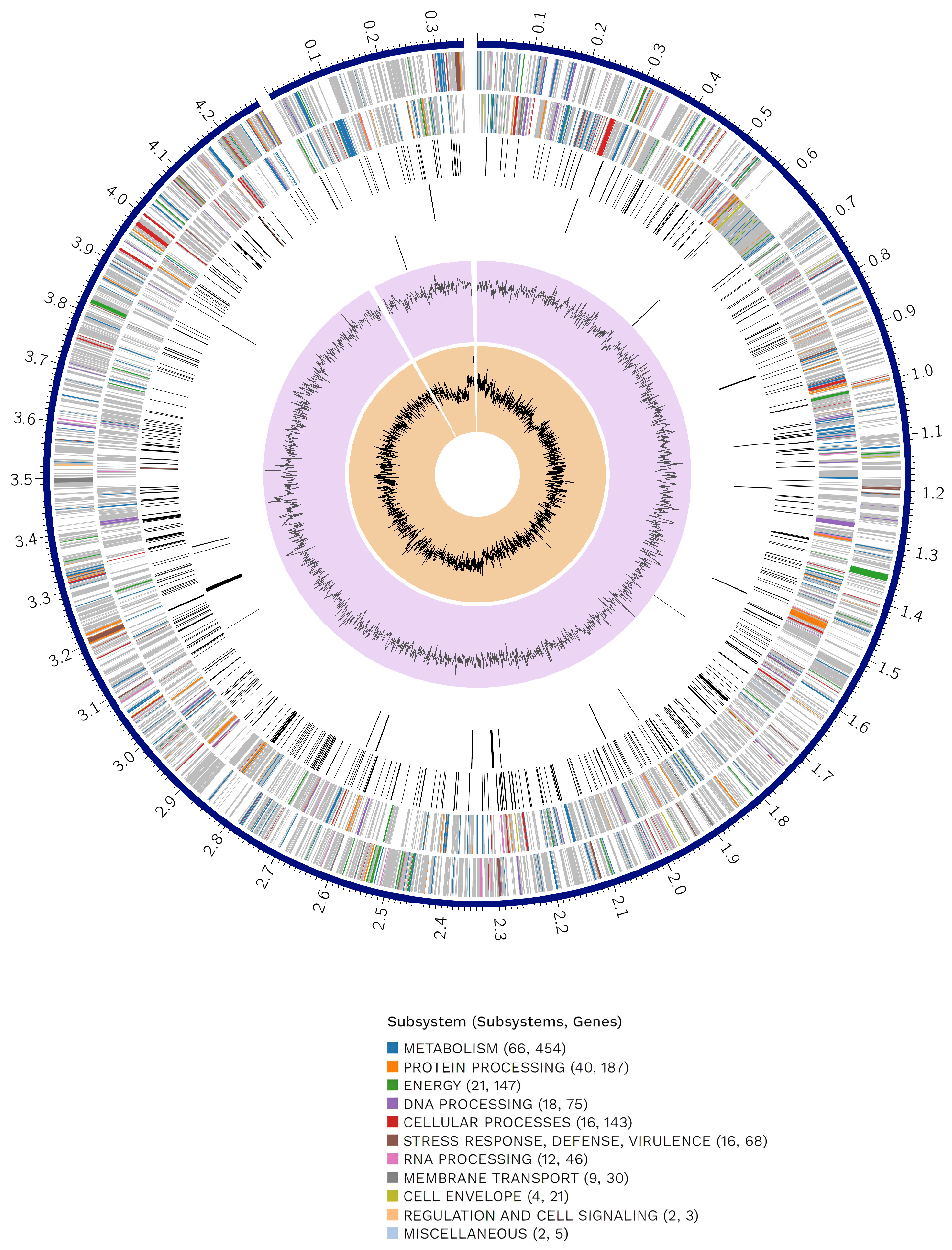 Microorganisms 12 00546 g001 Microorganisms 12 00546 g001