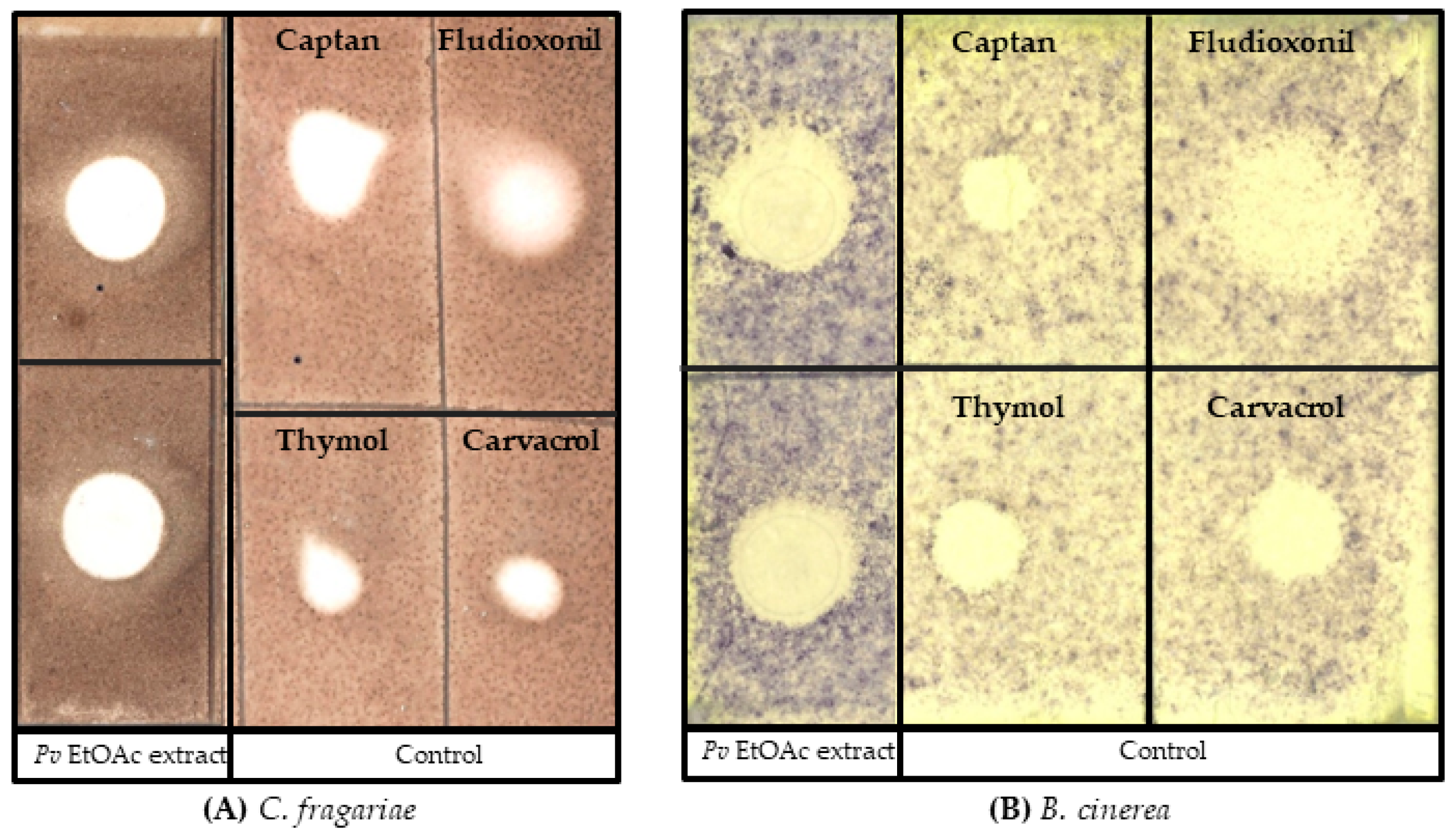 Microorganisms 12 00548 g002