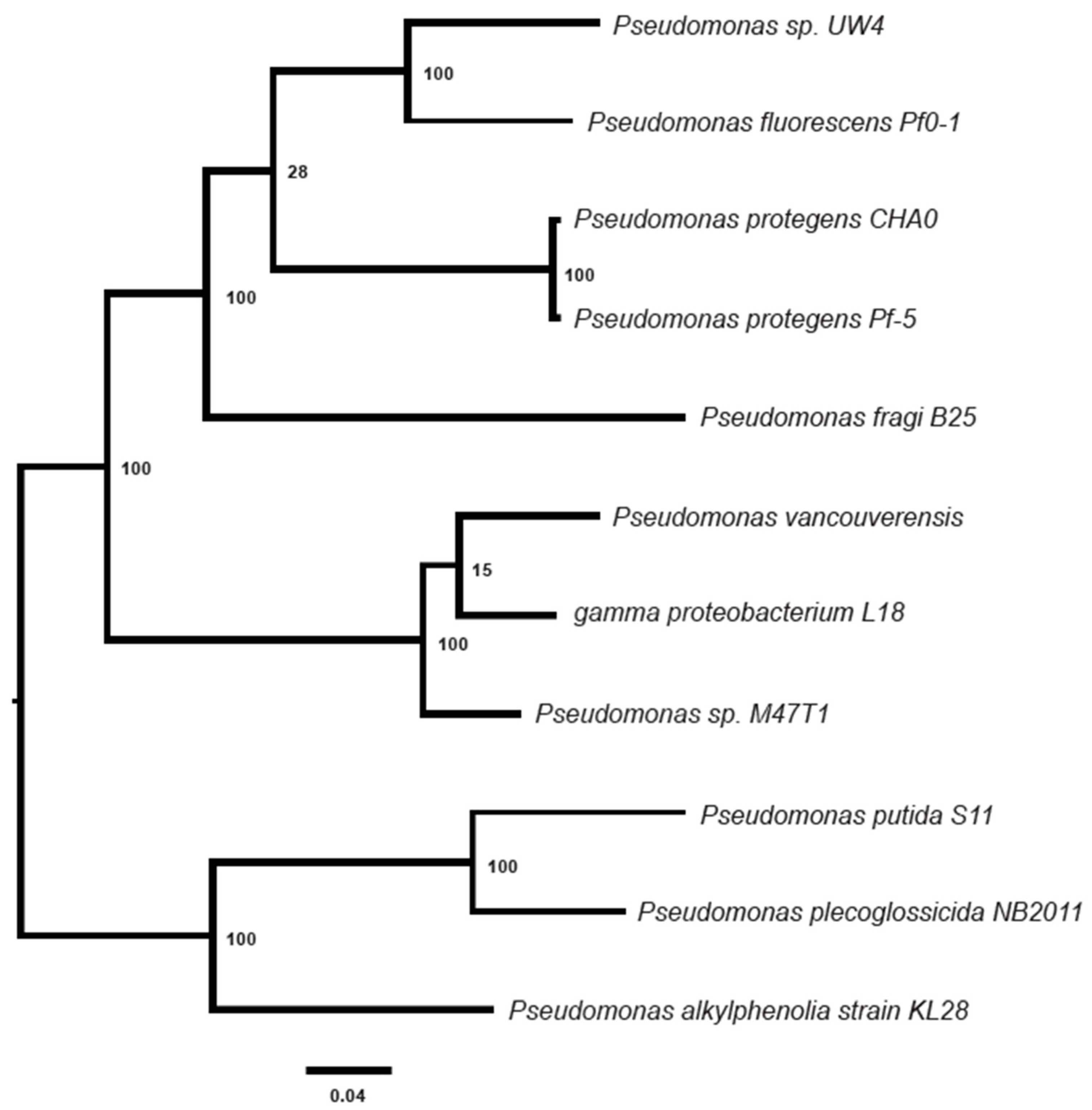 Microorganisms 12 00548 g004