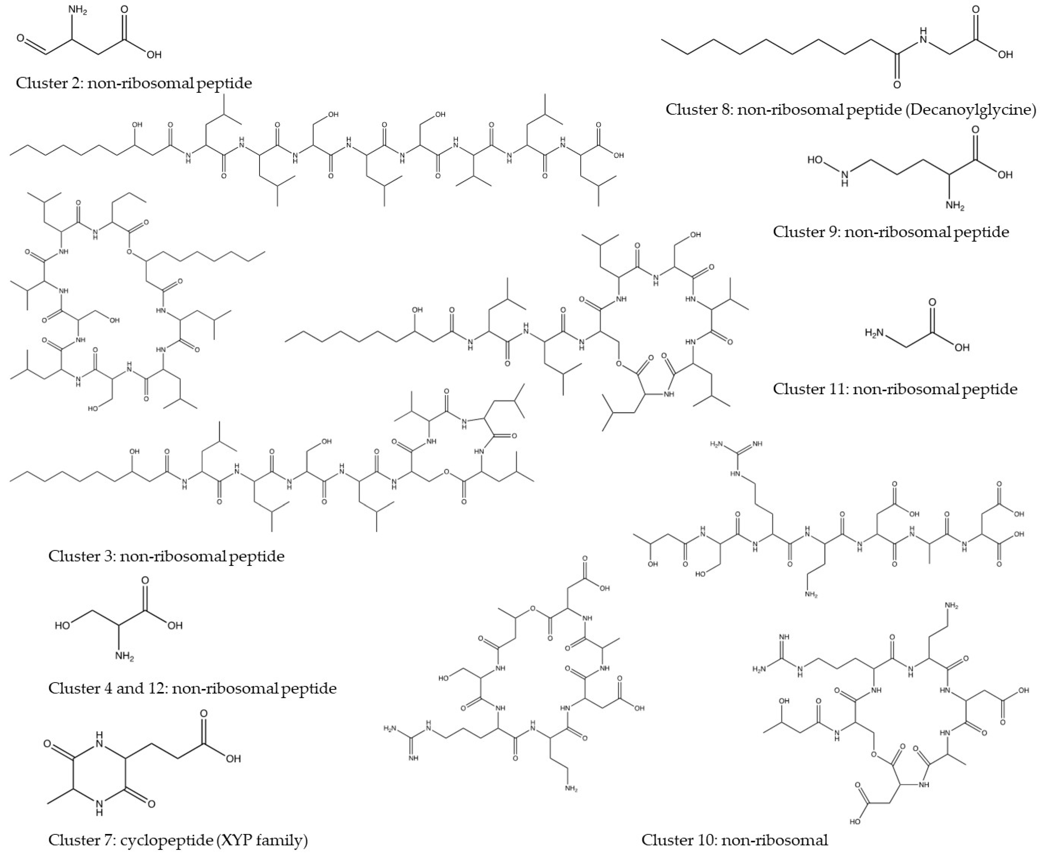 Microorganisms 12 00548 g005