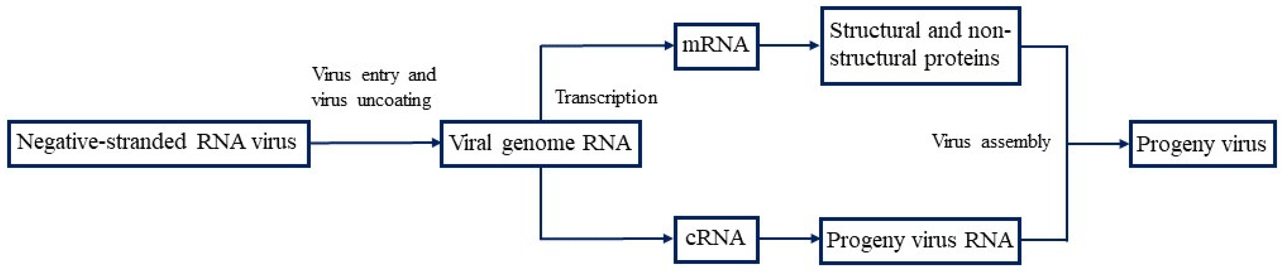 Microorganisms 12 00559 g001