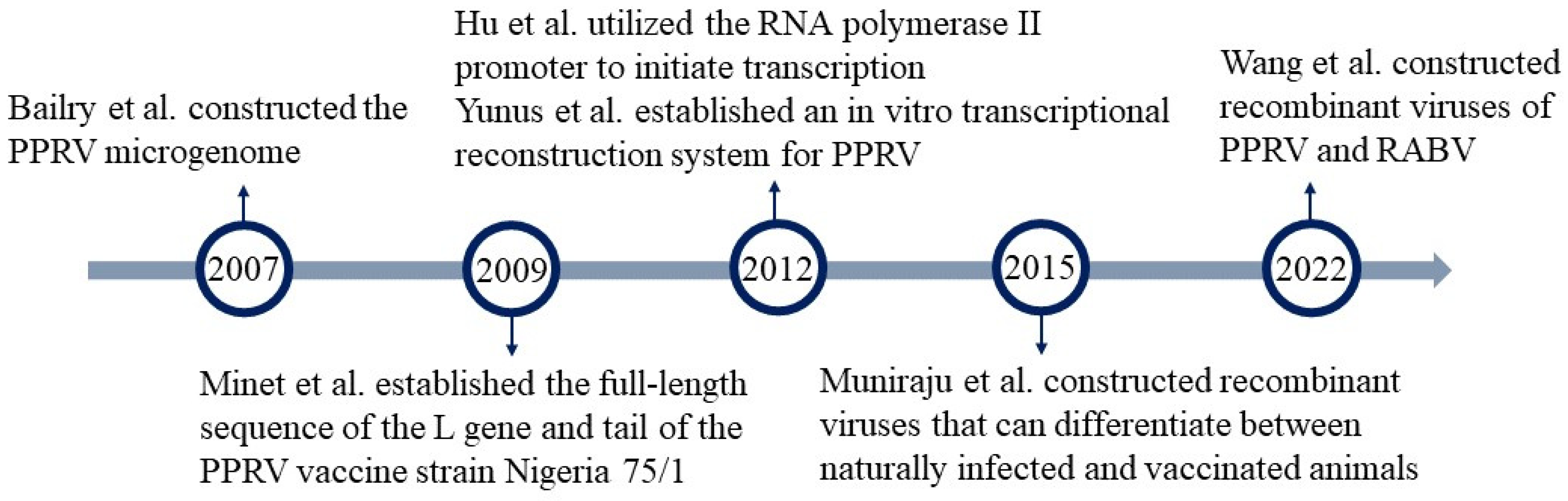 Microorganisms 12 00559 g006