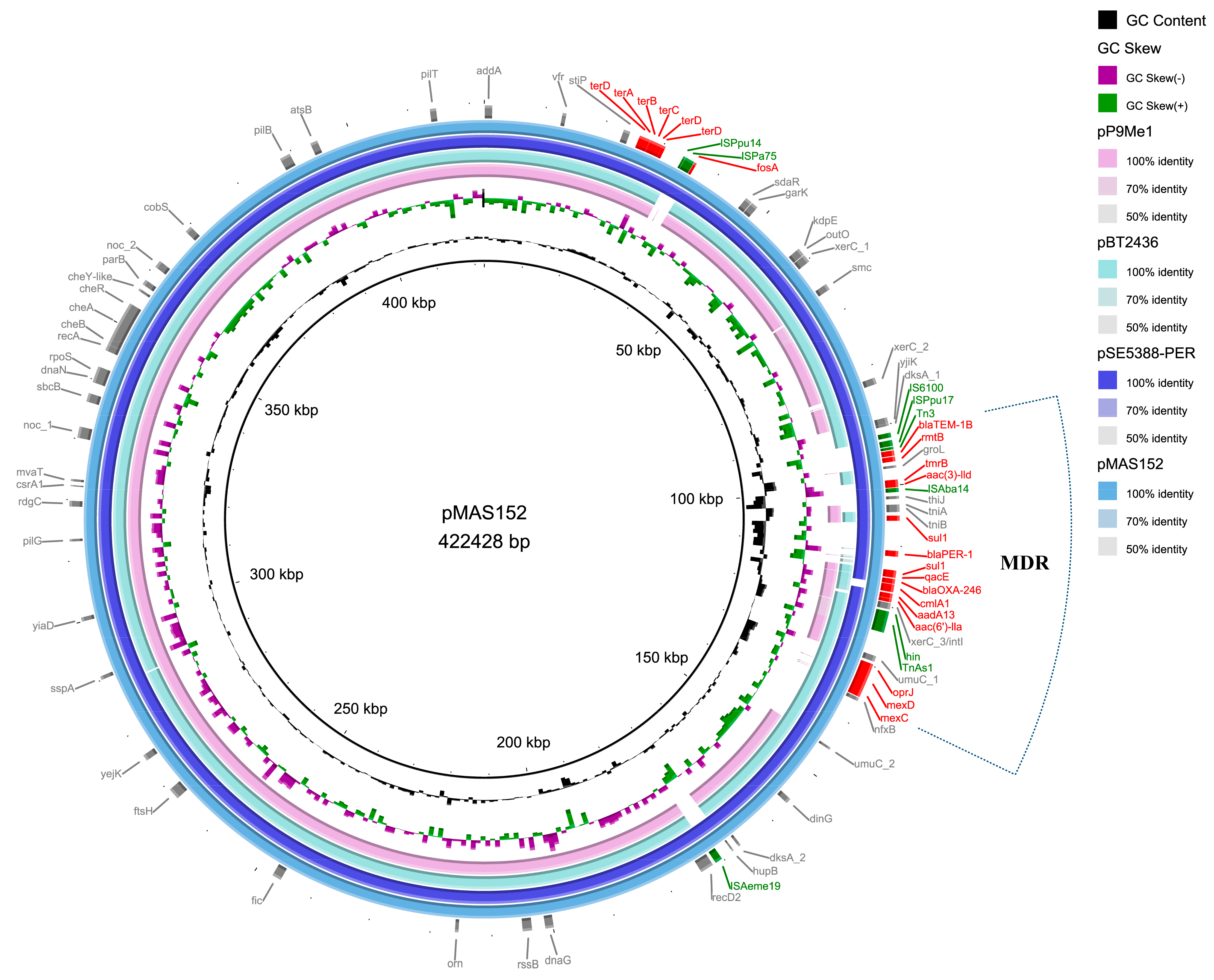 Microorganisms 12 00562 g001