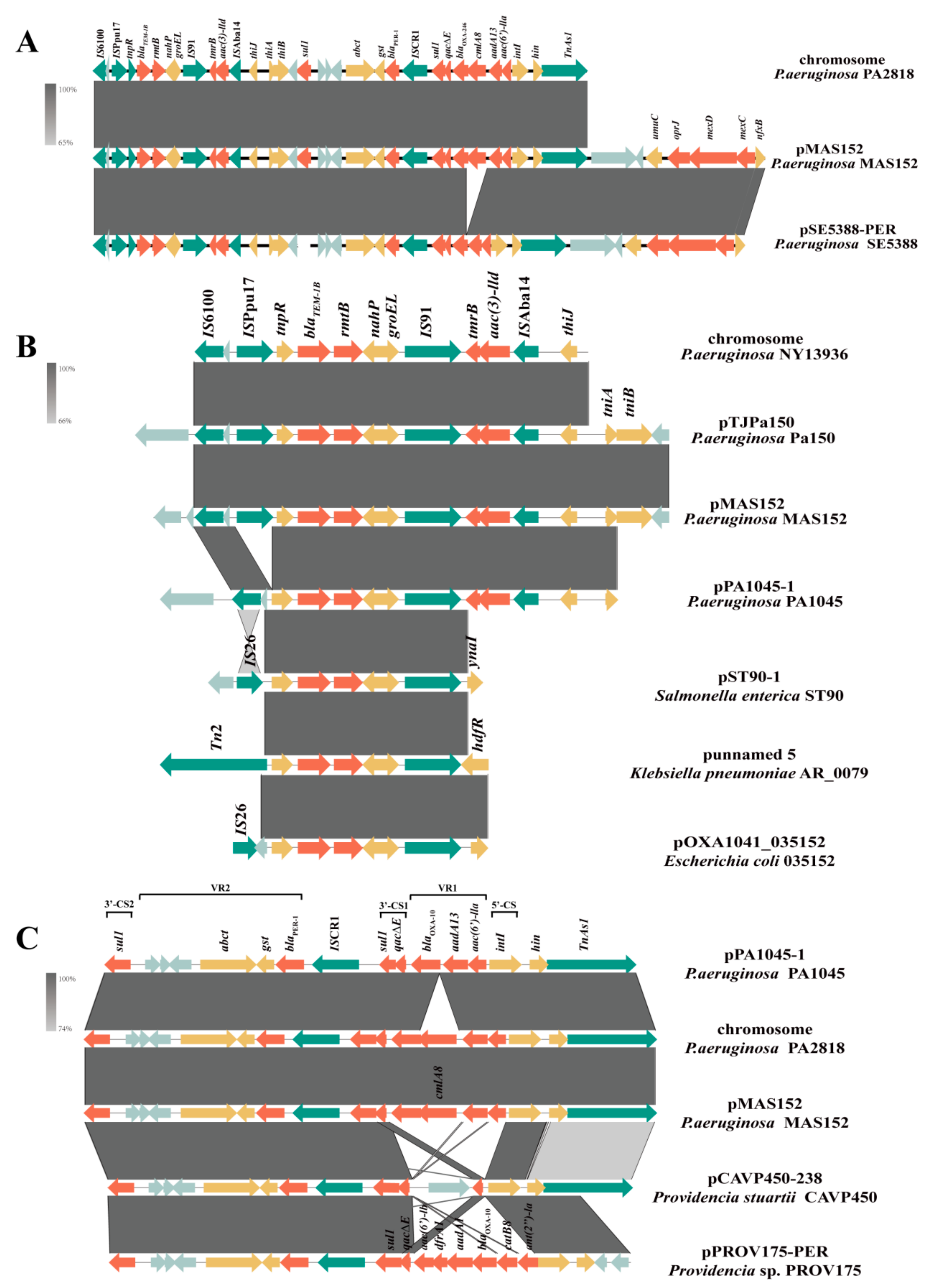 Microorganisms 12 00562 g002