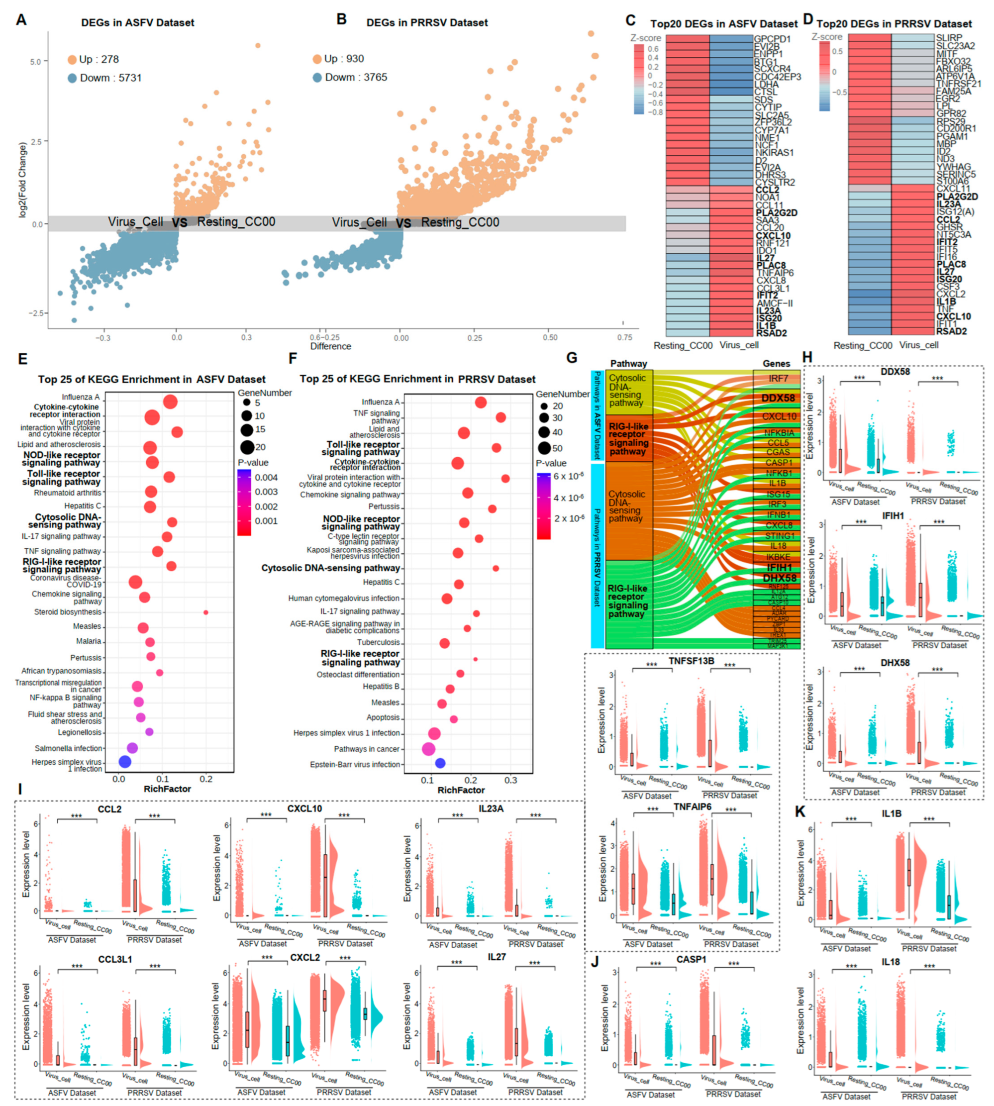 Microorganisms 12 00563 g002