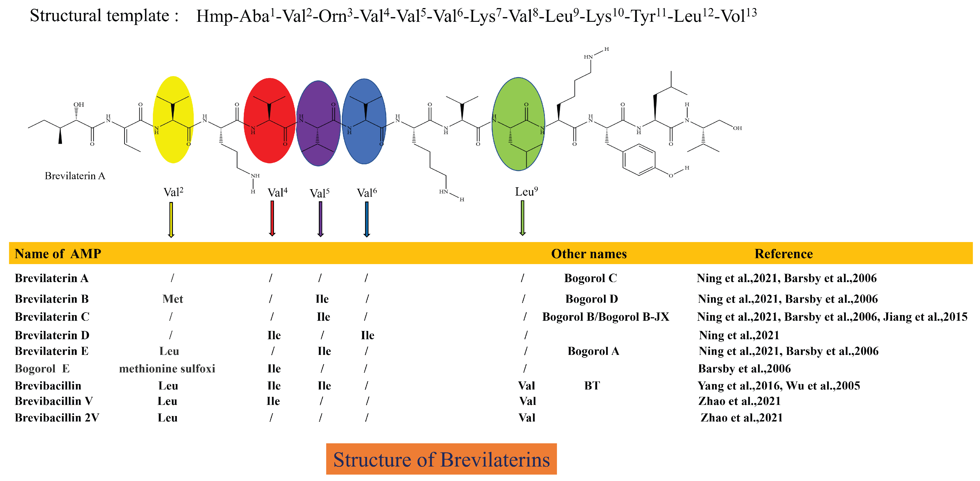 Microorganisms 12 00564 g001