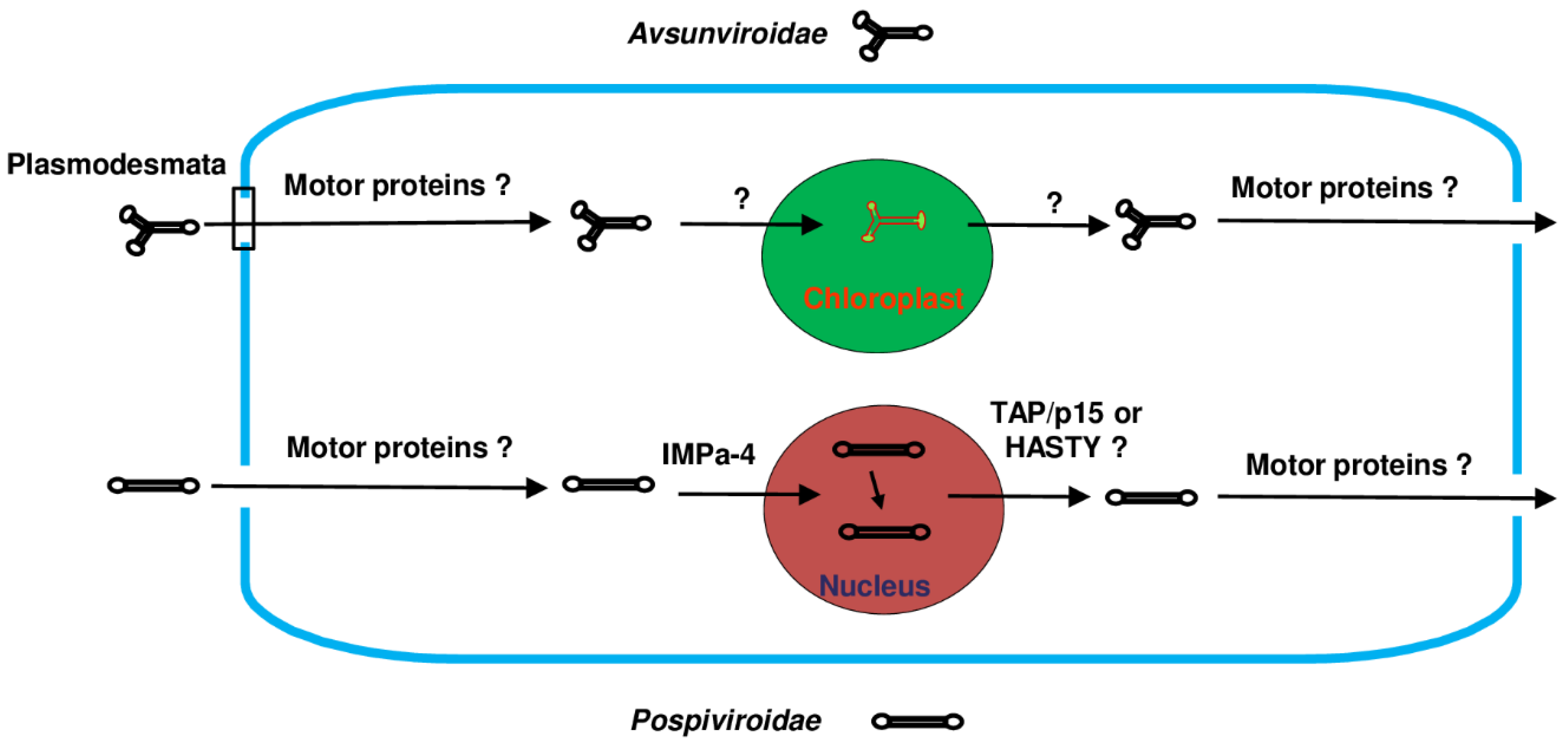 Microorganisms 12 00565 g003