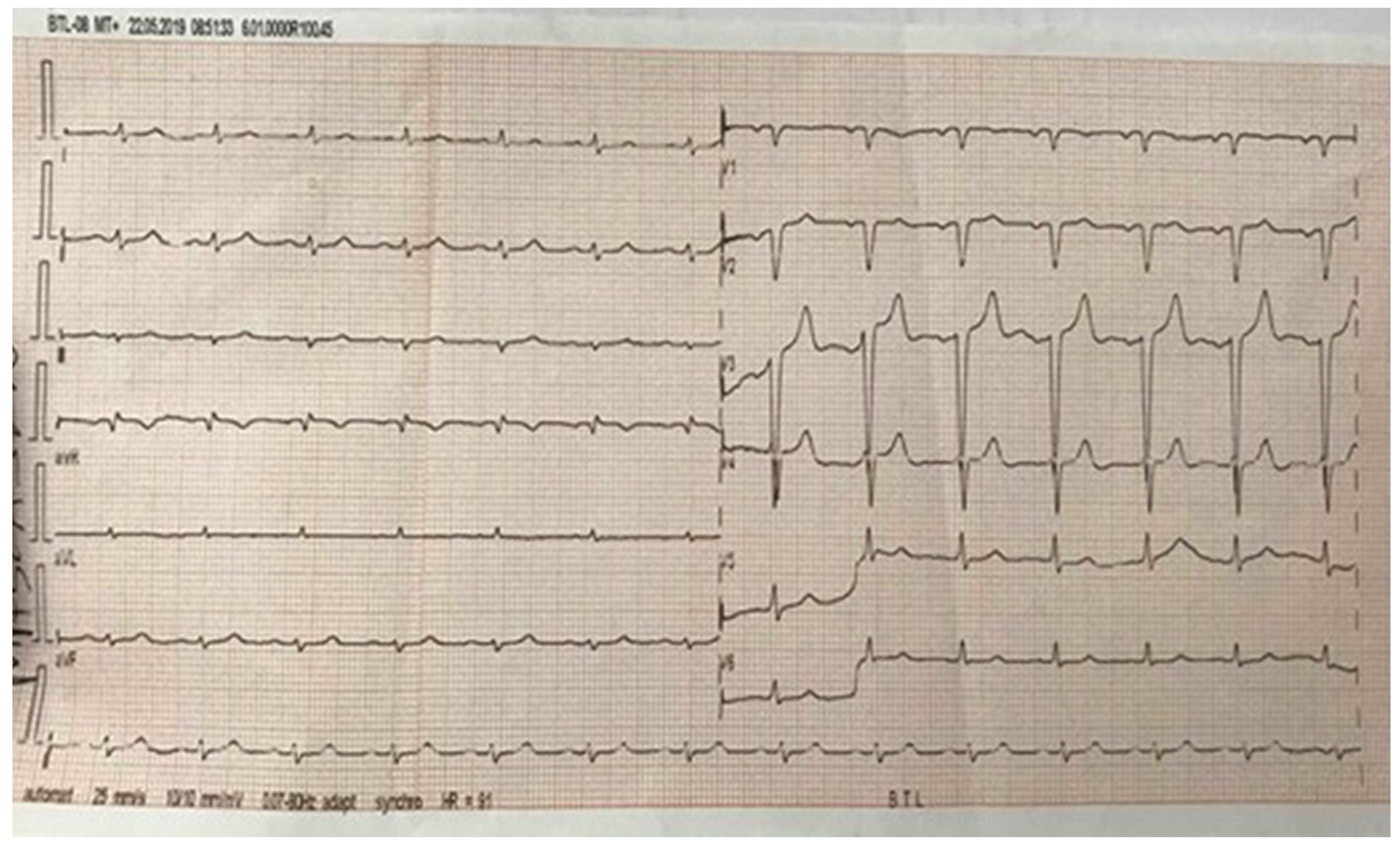Microorganisms 12 00566 g001