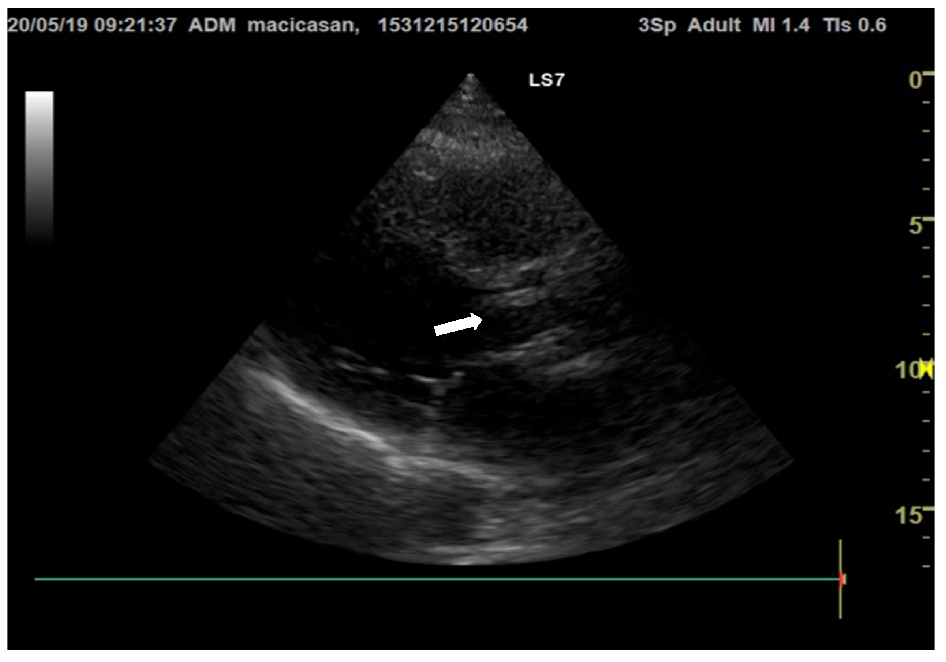 Microorganisms 12 00566 g003