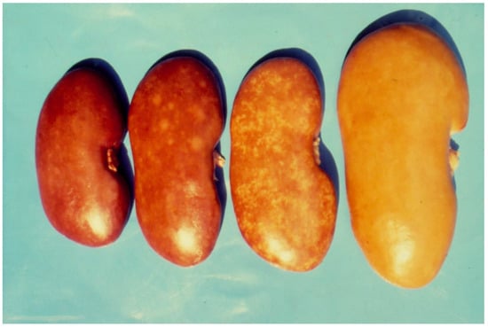 Microorganisms 12 00580 g002