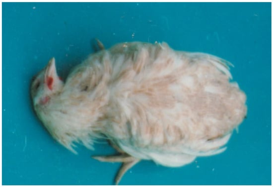 Microorganisms 12 00580 g003