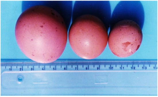 Microorganisms 12 00580 g004