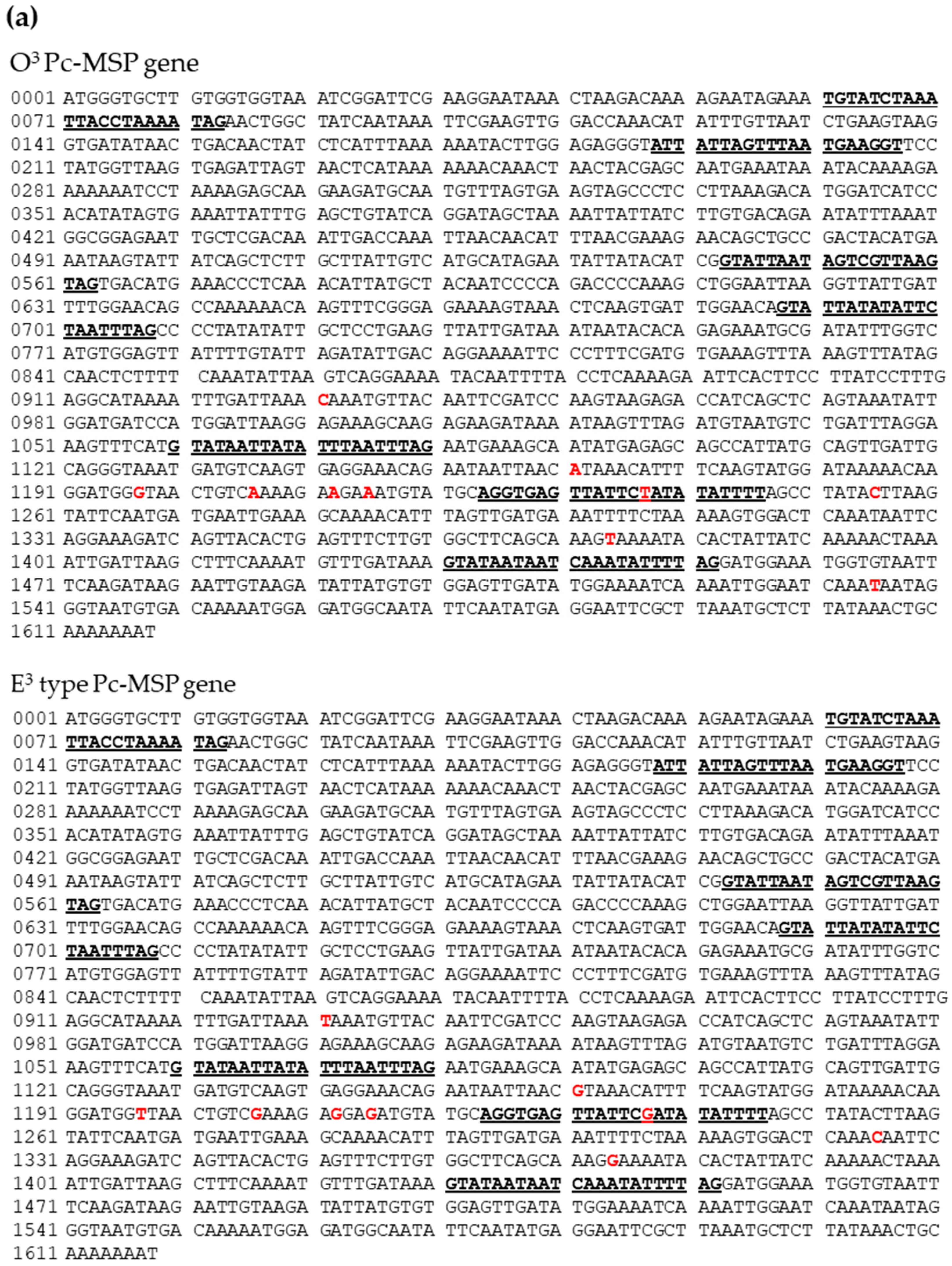 Microorganisms 12 00588 g001a