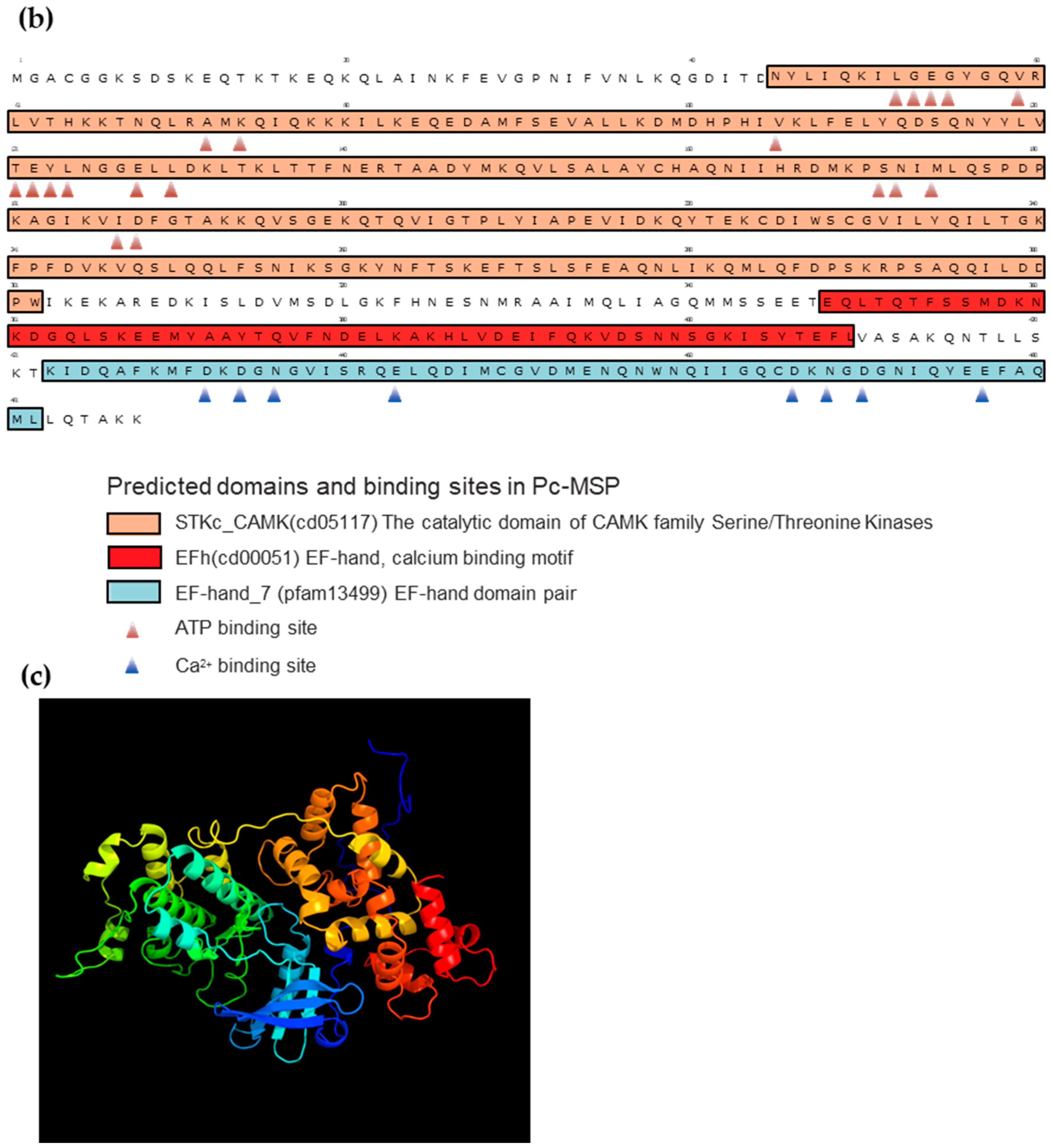 Microorganisms 12 00588 g001b
