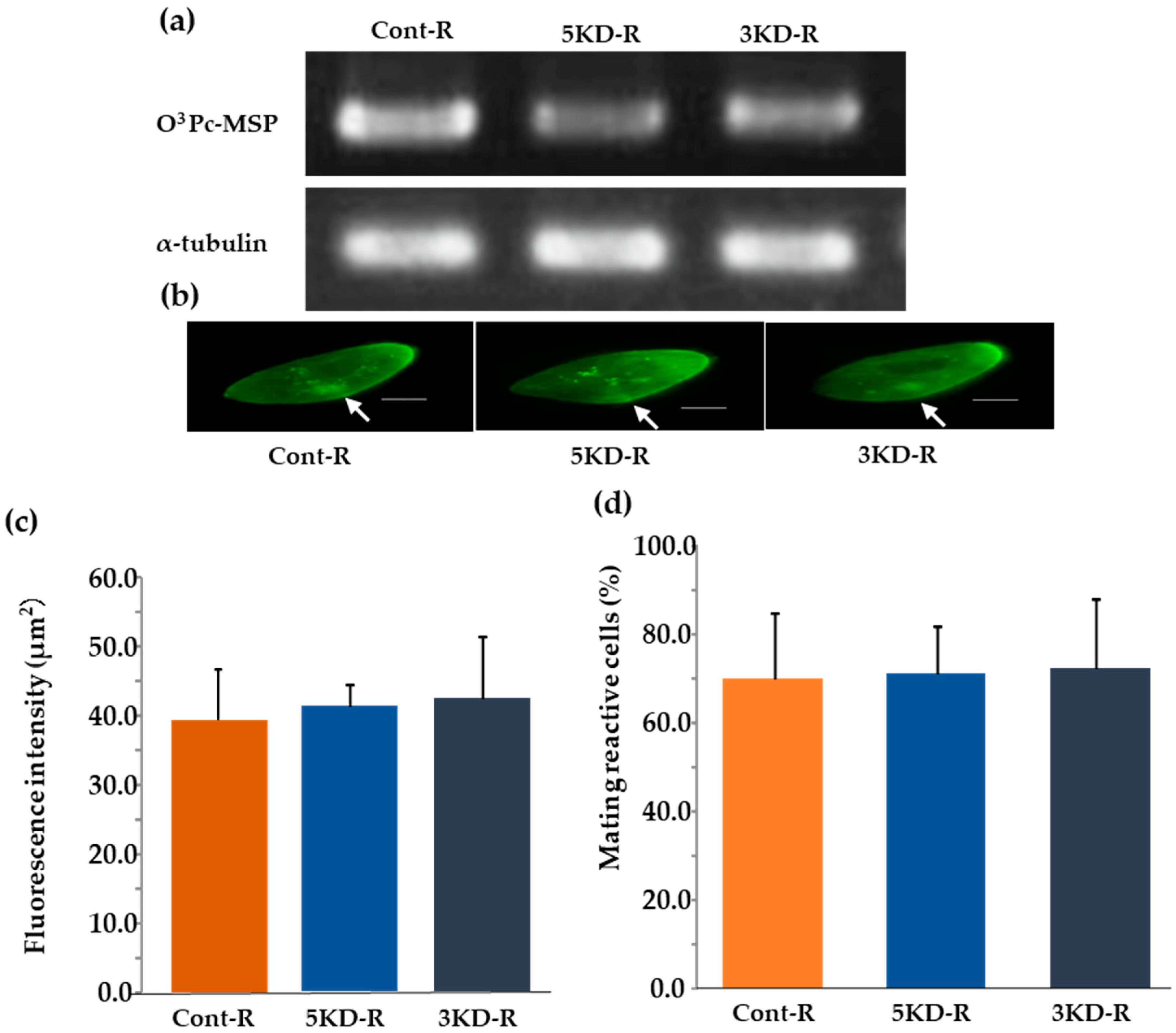 Microorganisms 12 00588 g006