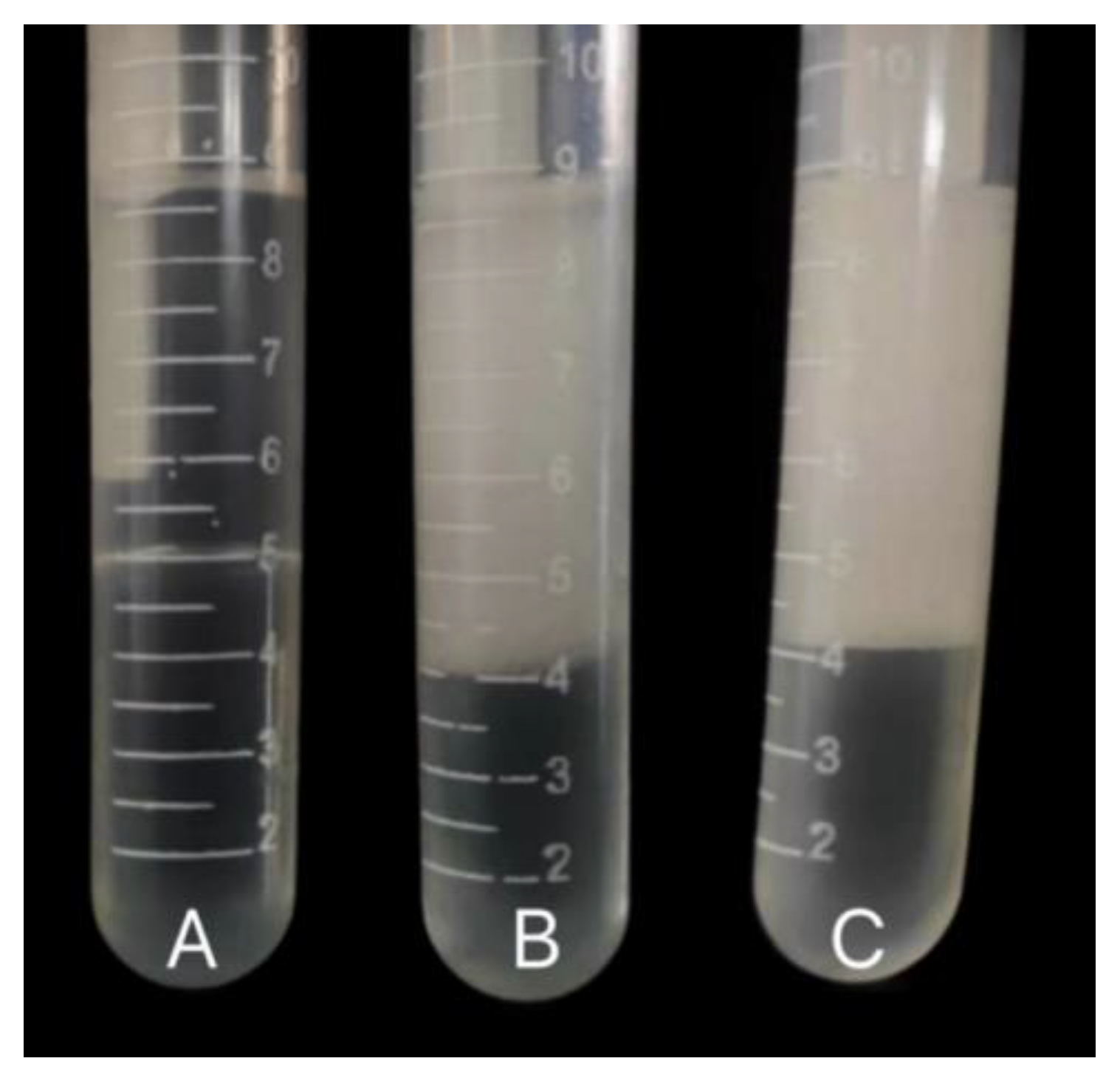 Microorganisms 12 00592 g005