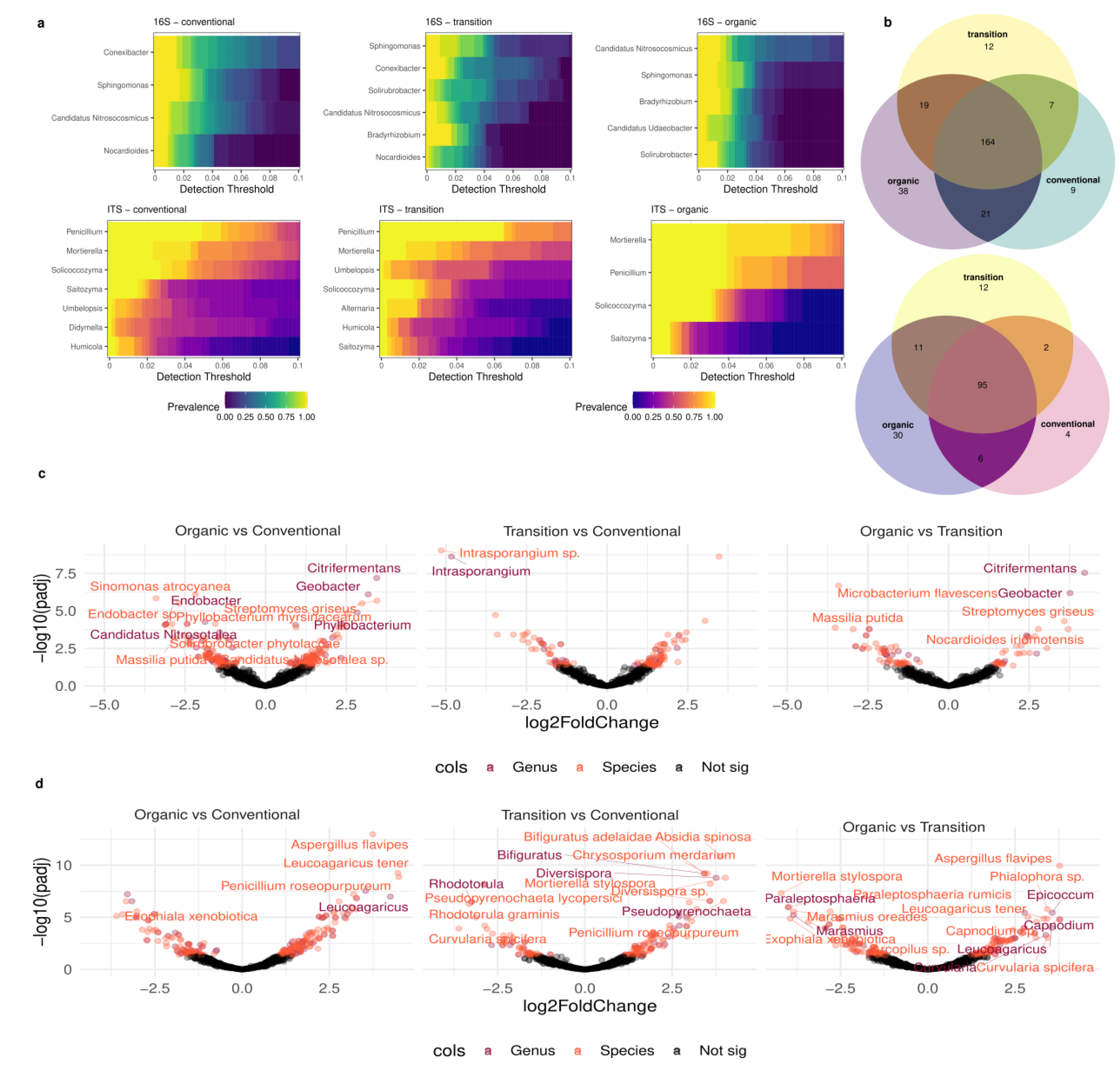 Microorganisms 12 00595 g008