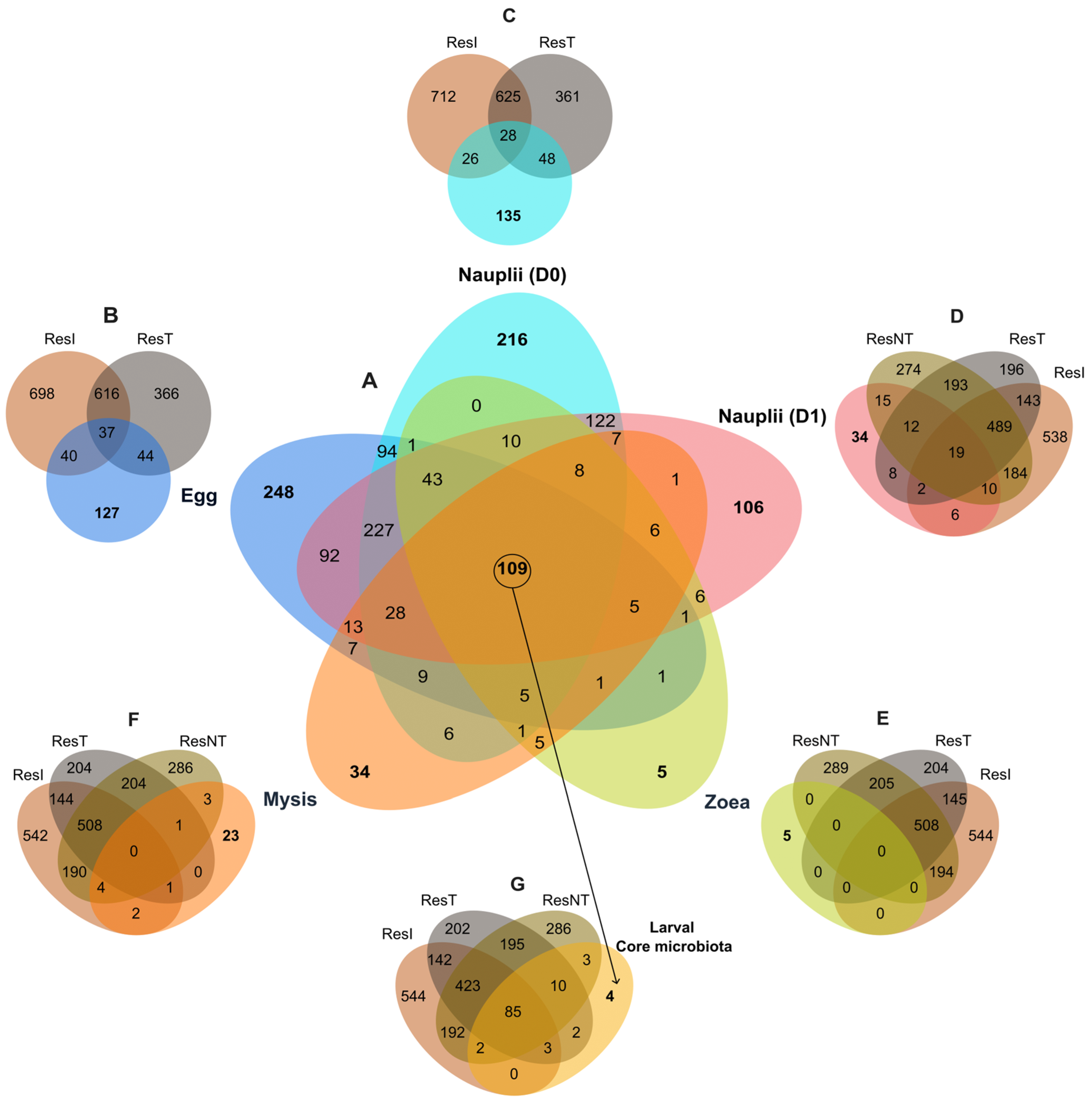 Microorganisms 12 00608 g005