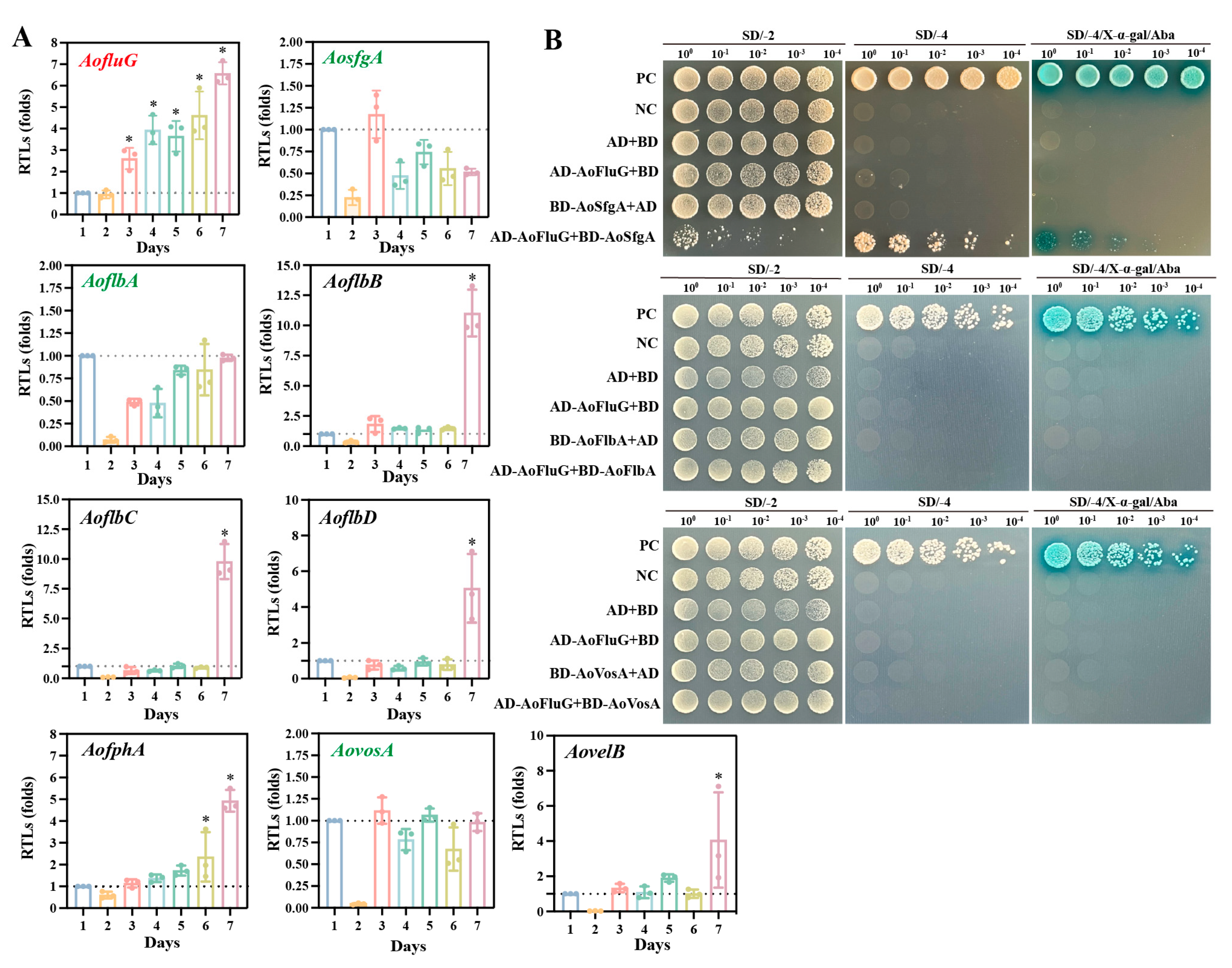 Microorganisms 12 00615 g001