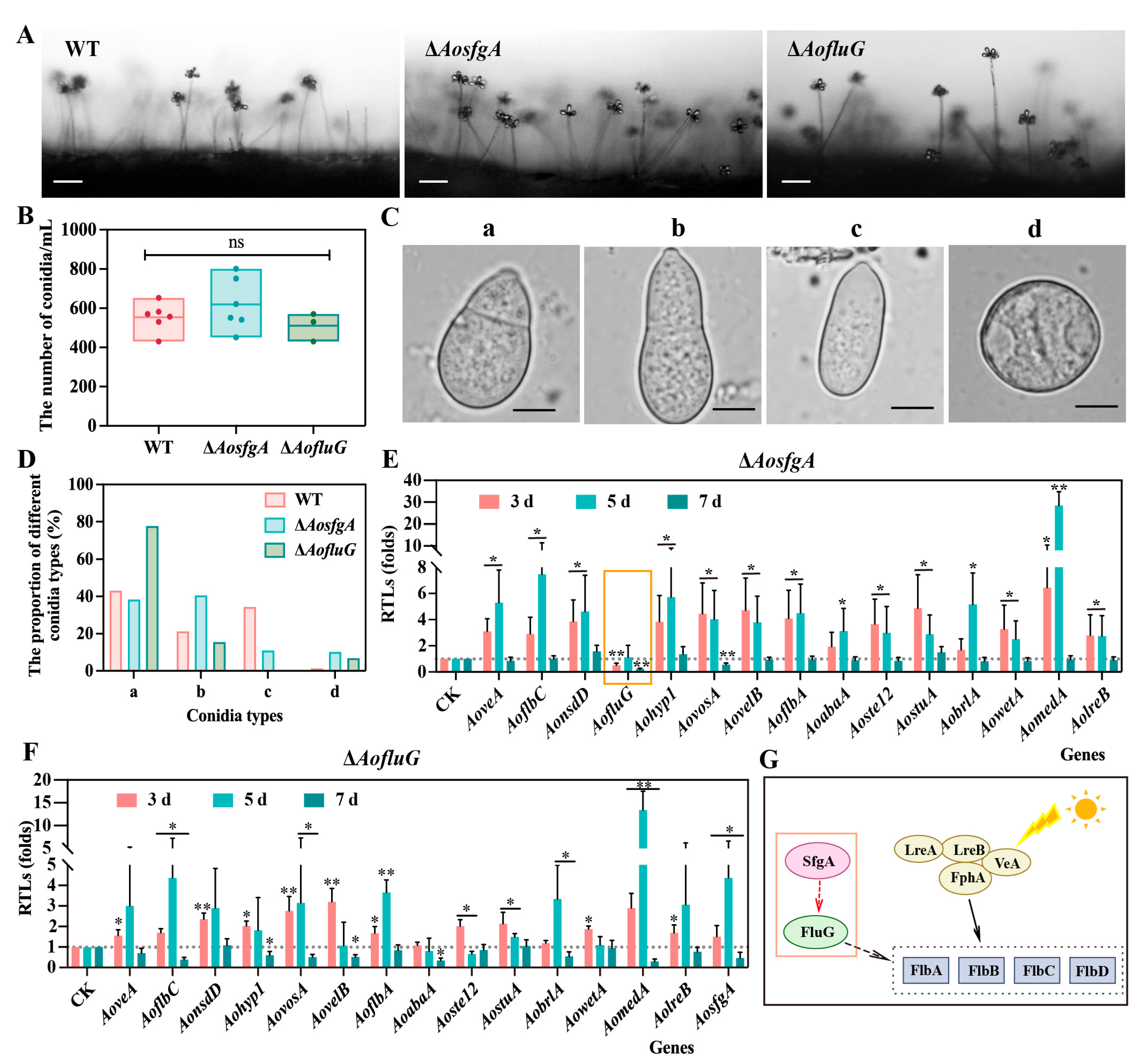 Microorganisms 12 00615 g004
