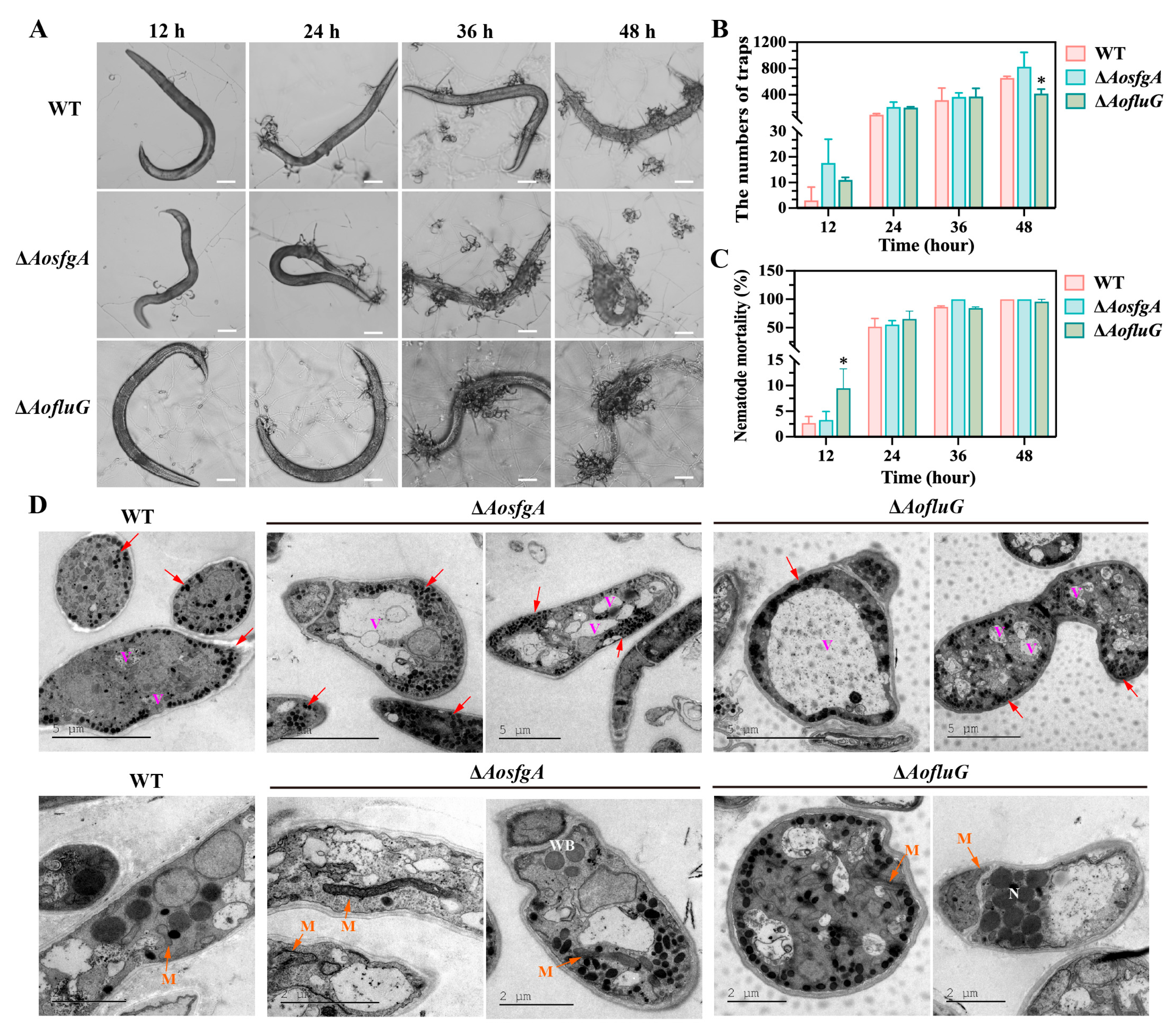 Microorganisms 12 00615 g005