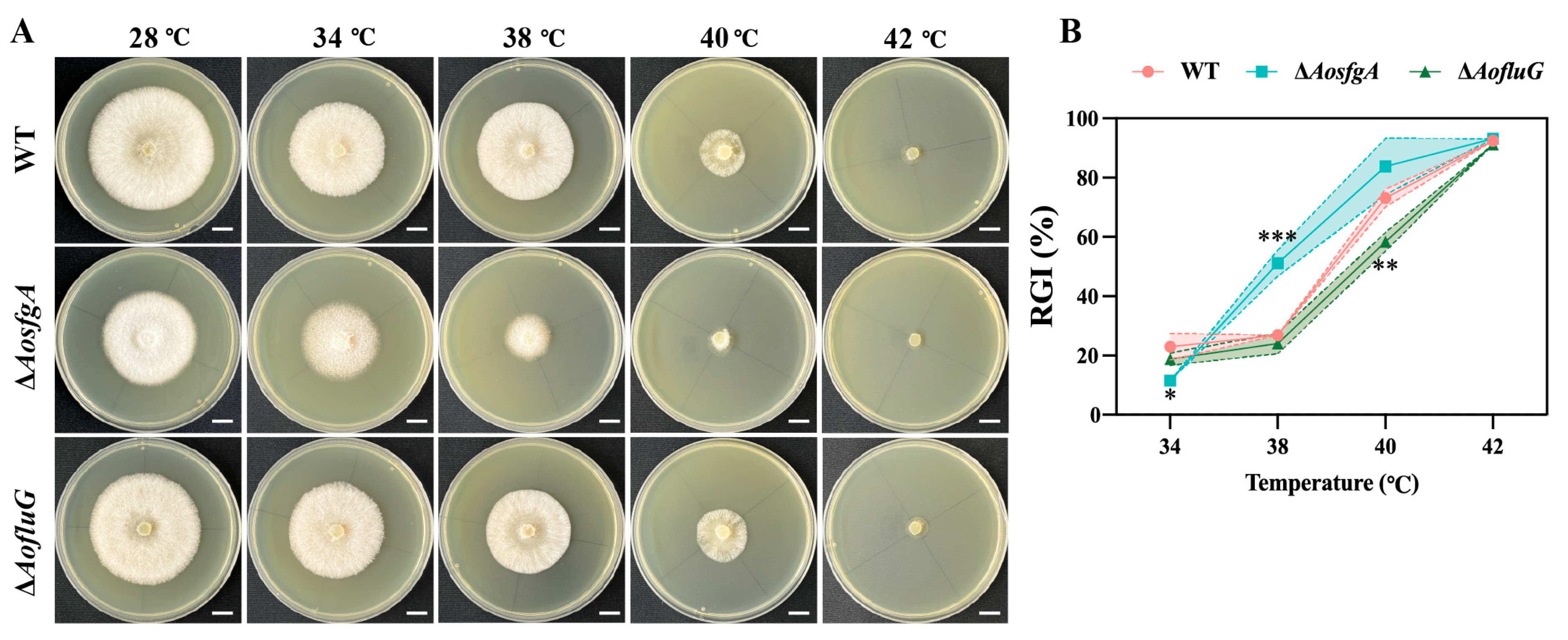 Microorganisms 12 00615 g006