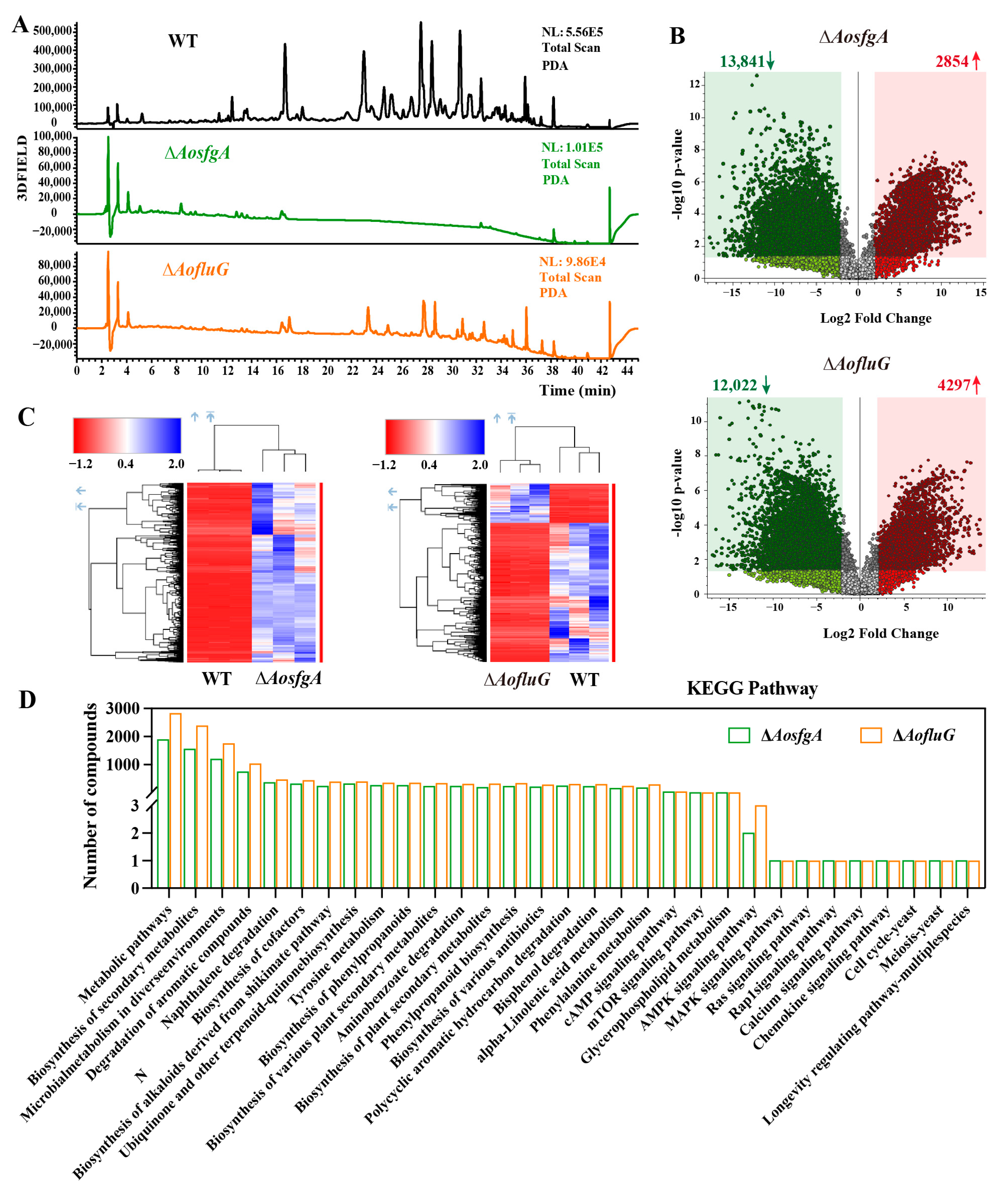 Microorganisms 12 00615 g007