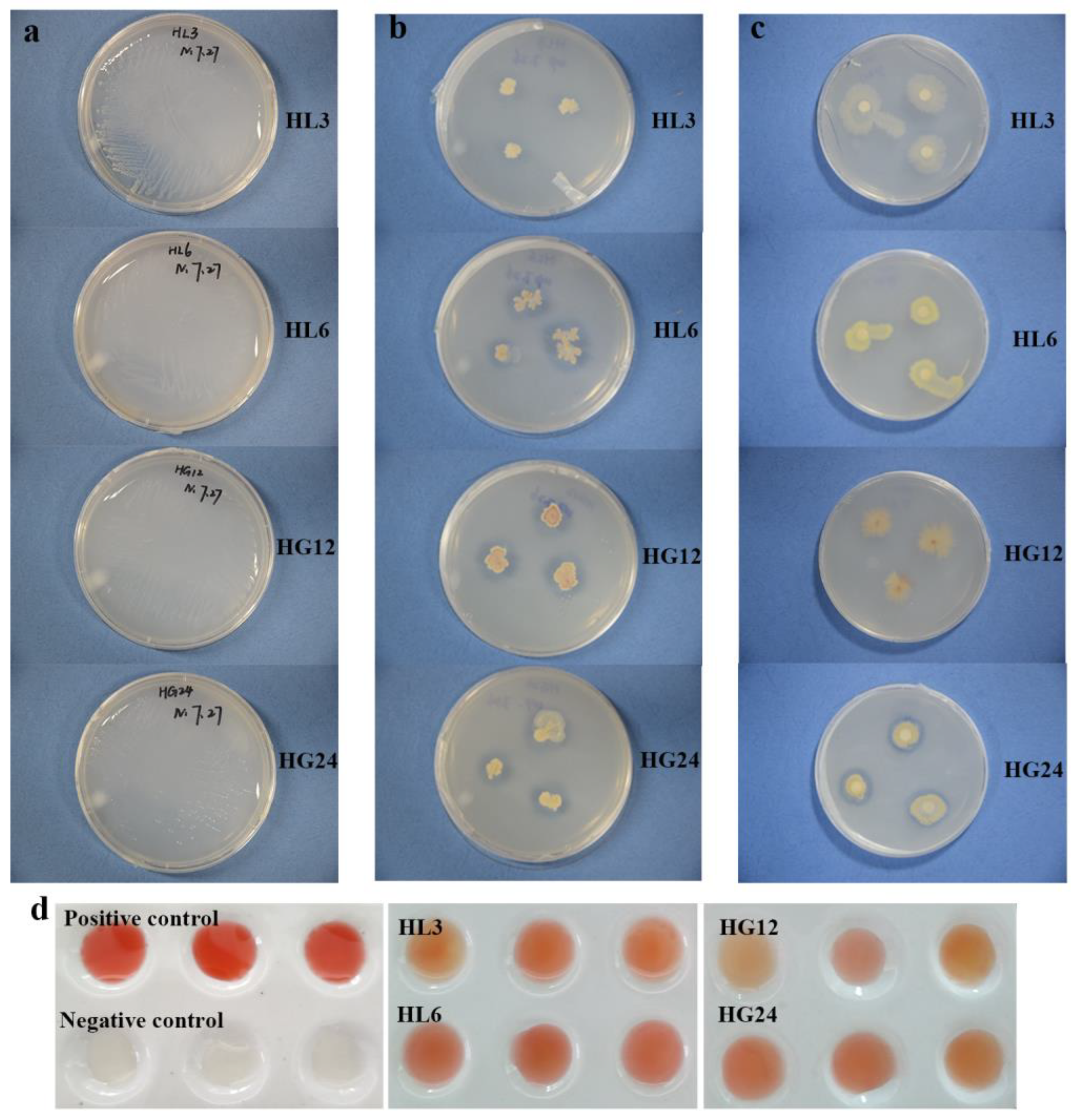 Microorganisms 12 00616 g002