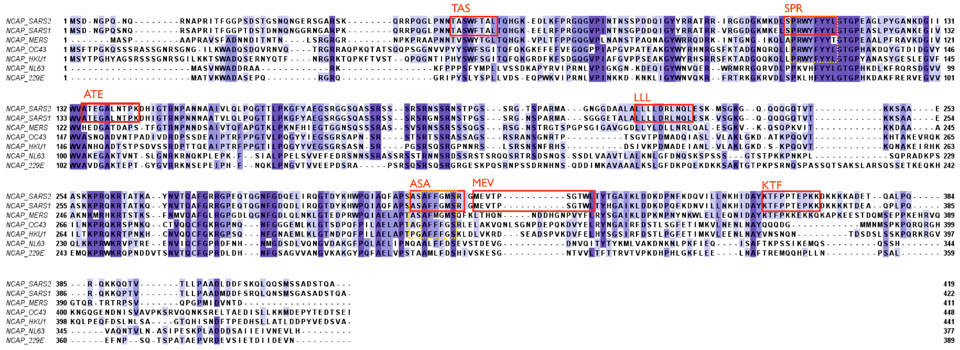 Microorganisms 12 00617 g003