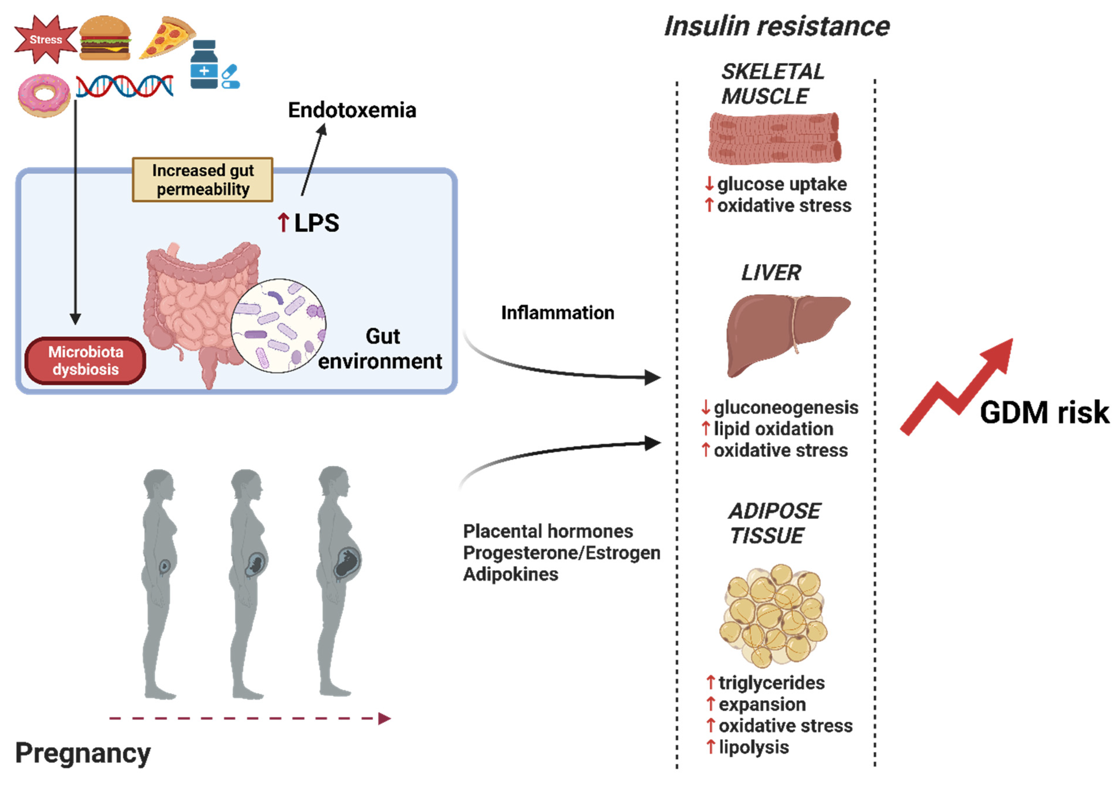 Microorganisms 12 00633 g001 Microorganisms 12 00633 g001