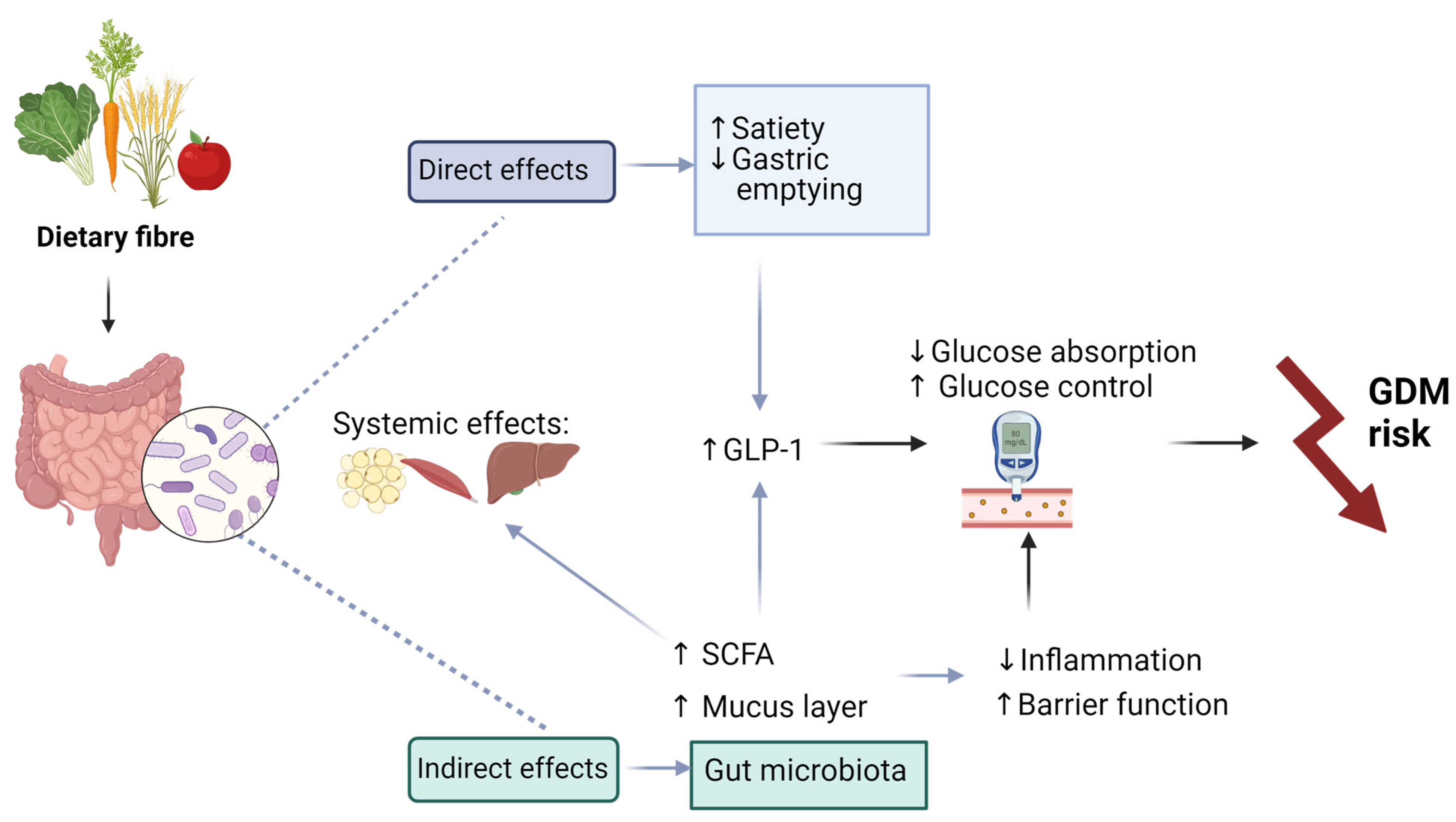 Microorganisms 12 00633 g002 Microorganisms 12 00633 g002