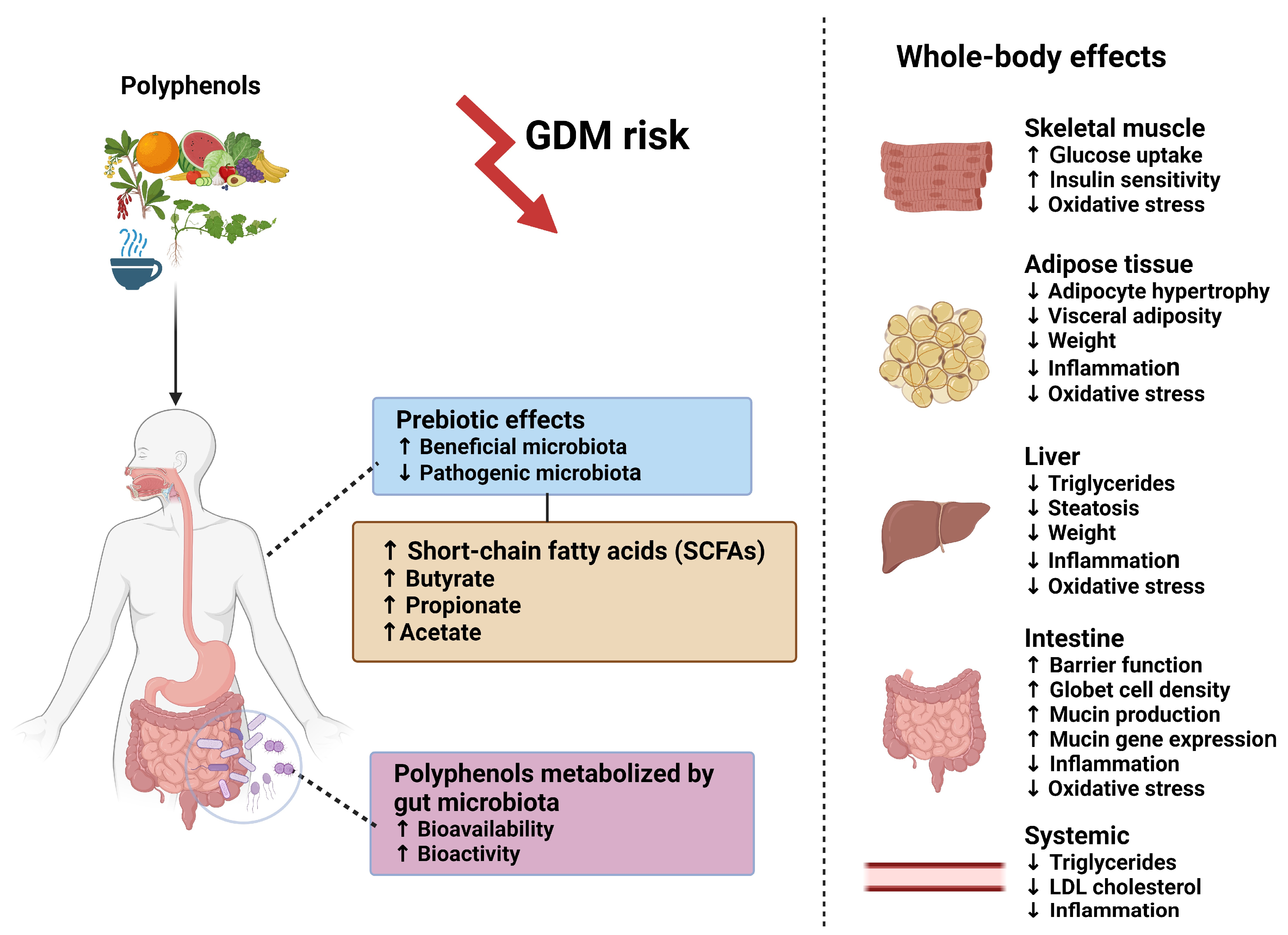 Microorganisms 12 00633 g003 Microorganisms 12 00633 g003