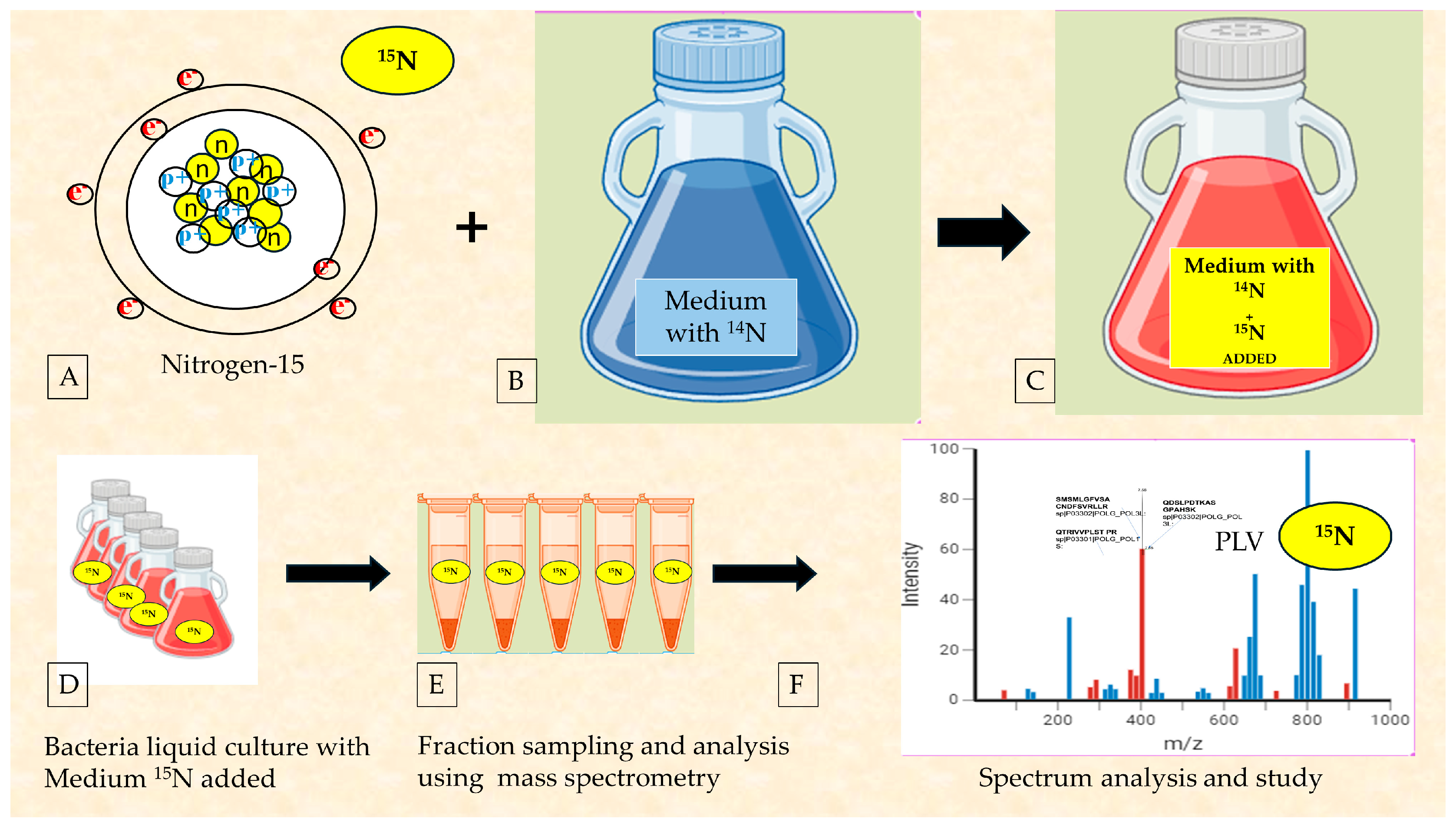 Microorganisms 12 00643 g006